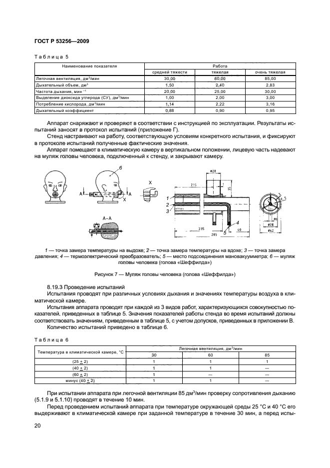 ГОСТ Р 53256-2009