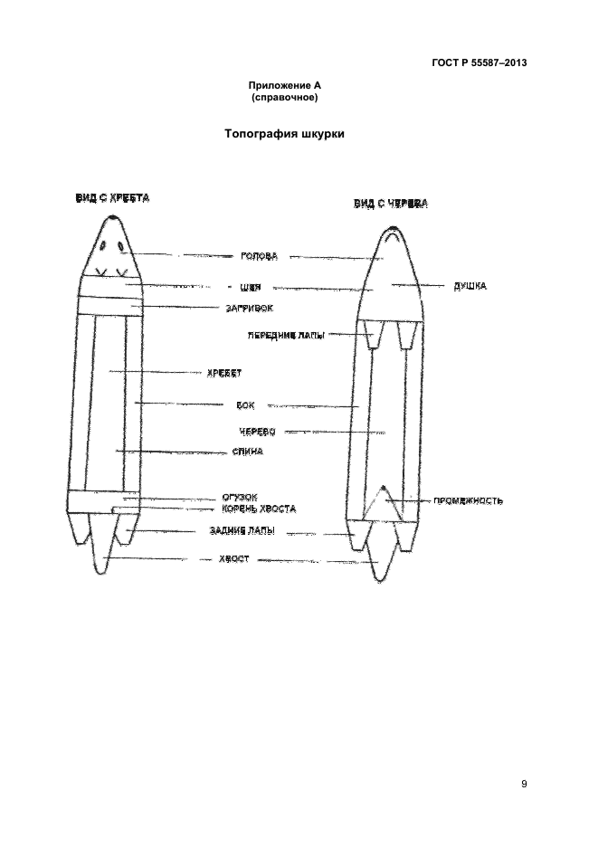 ГОСТ Р 55587-2013