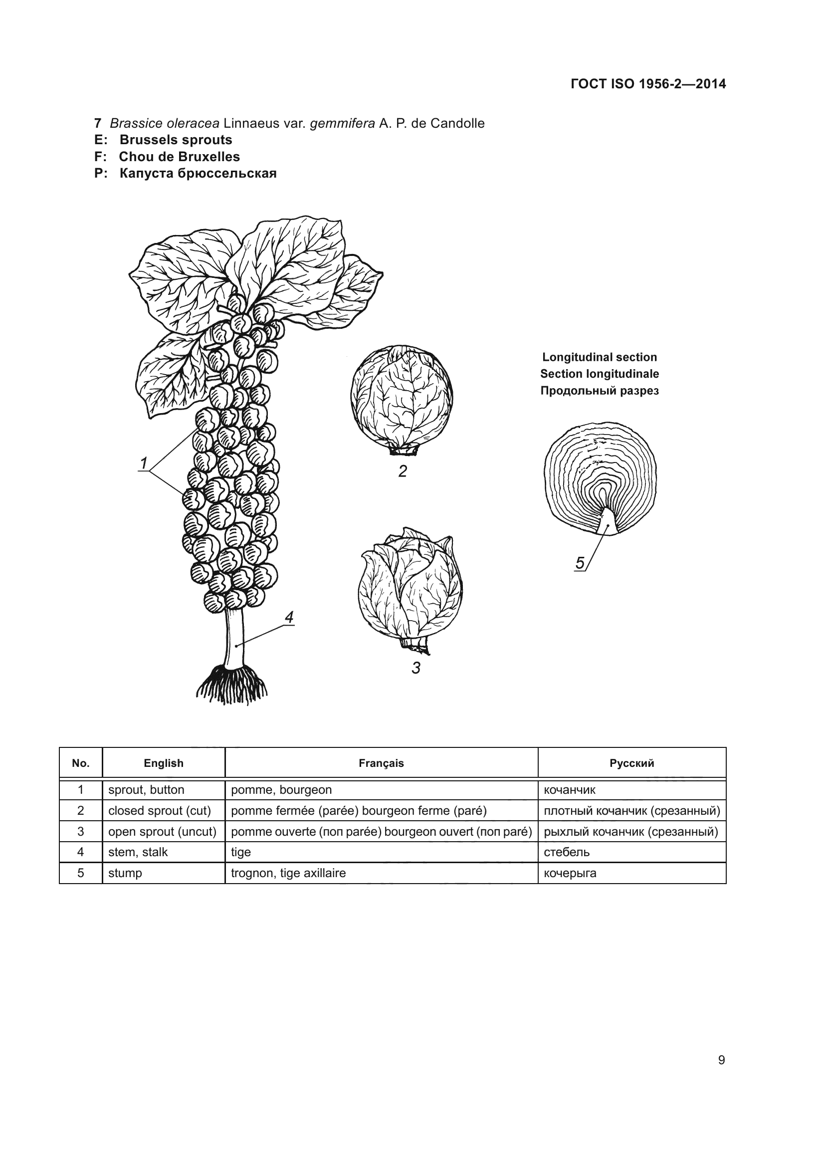 ГОСТ ISO 1956-2-2014