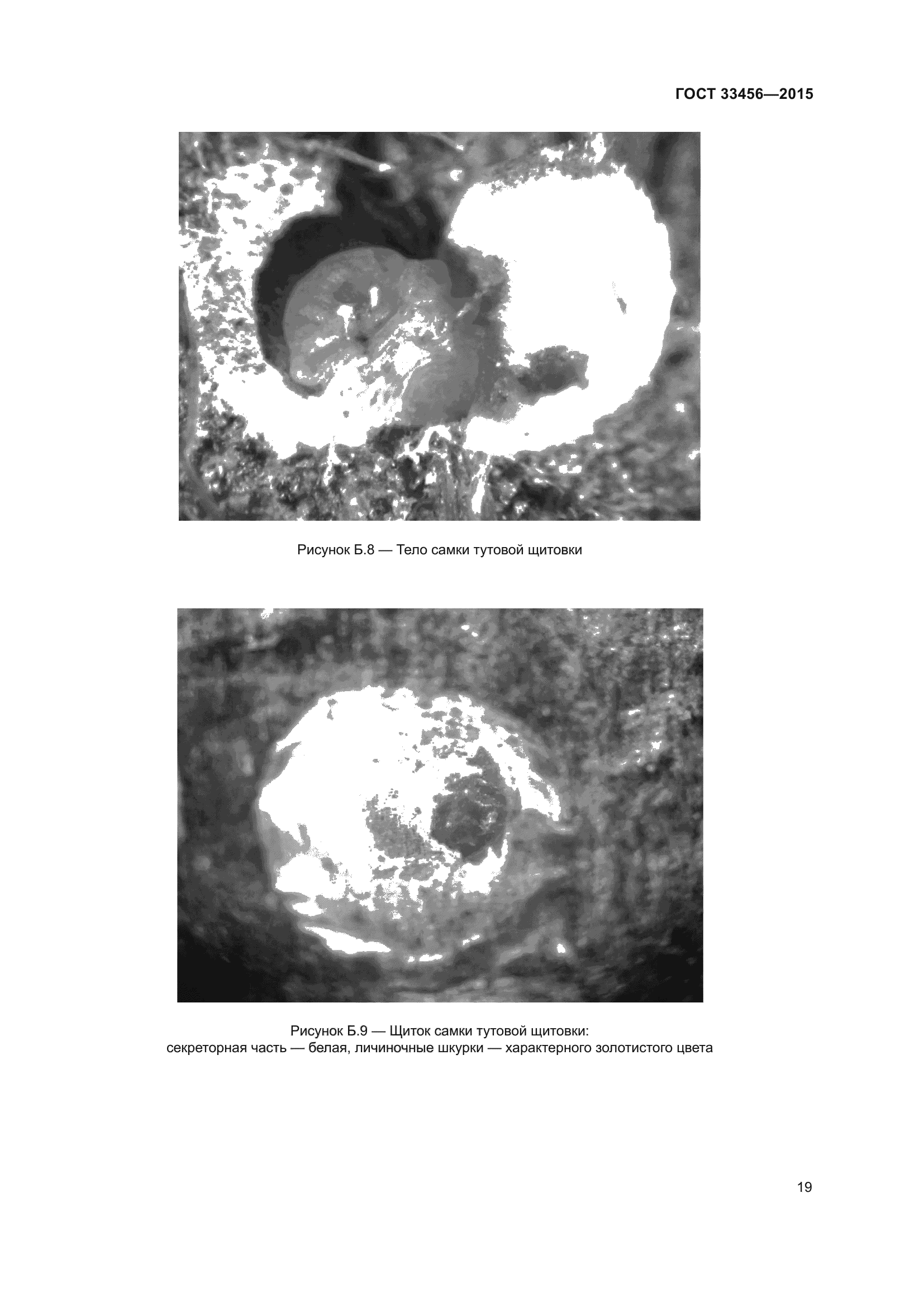 ГОСТ 33456-2015