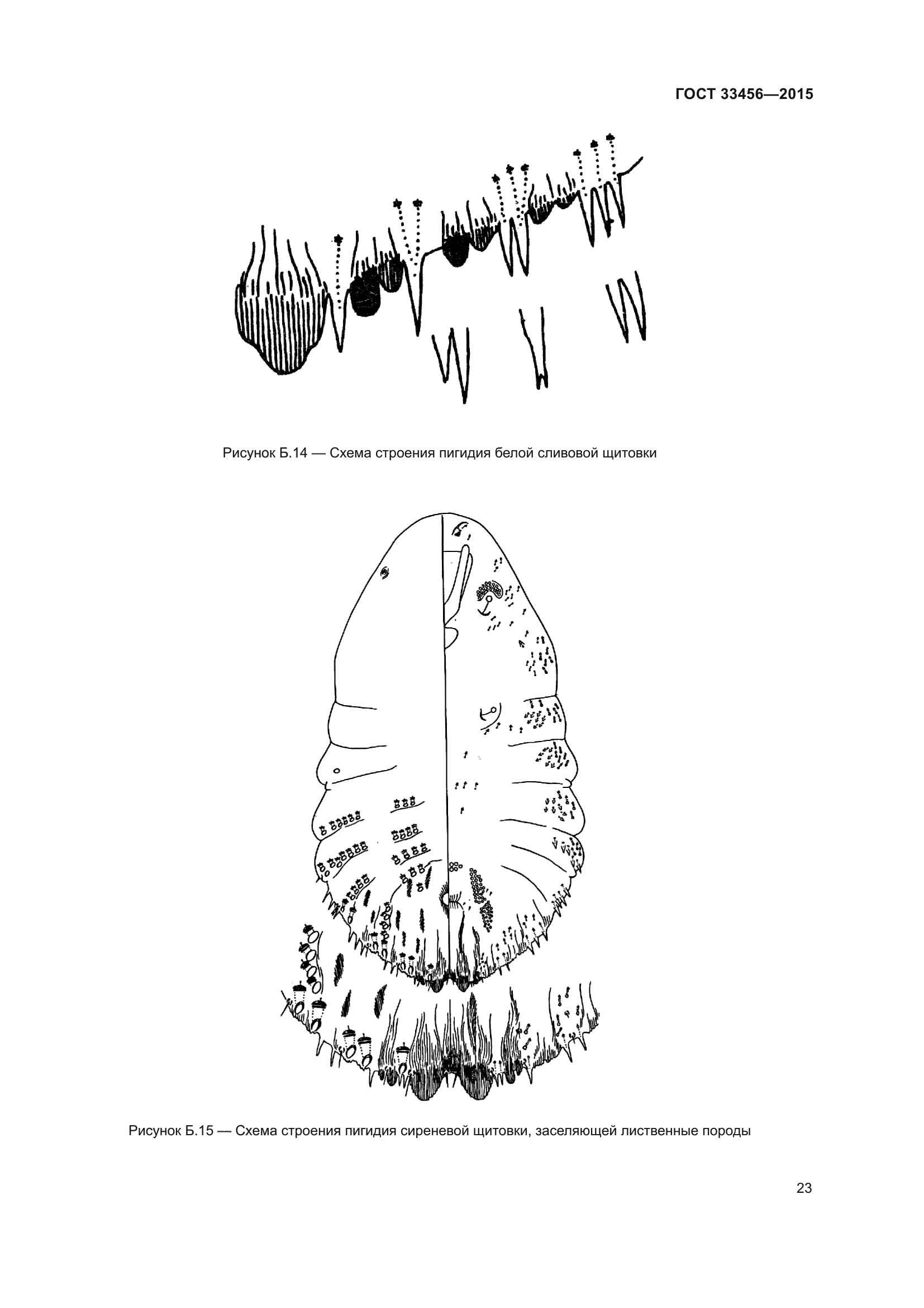 ГОСТ 33456-2015