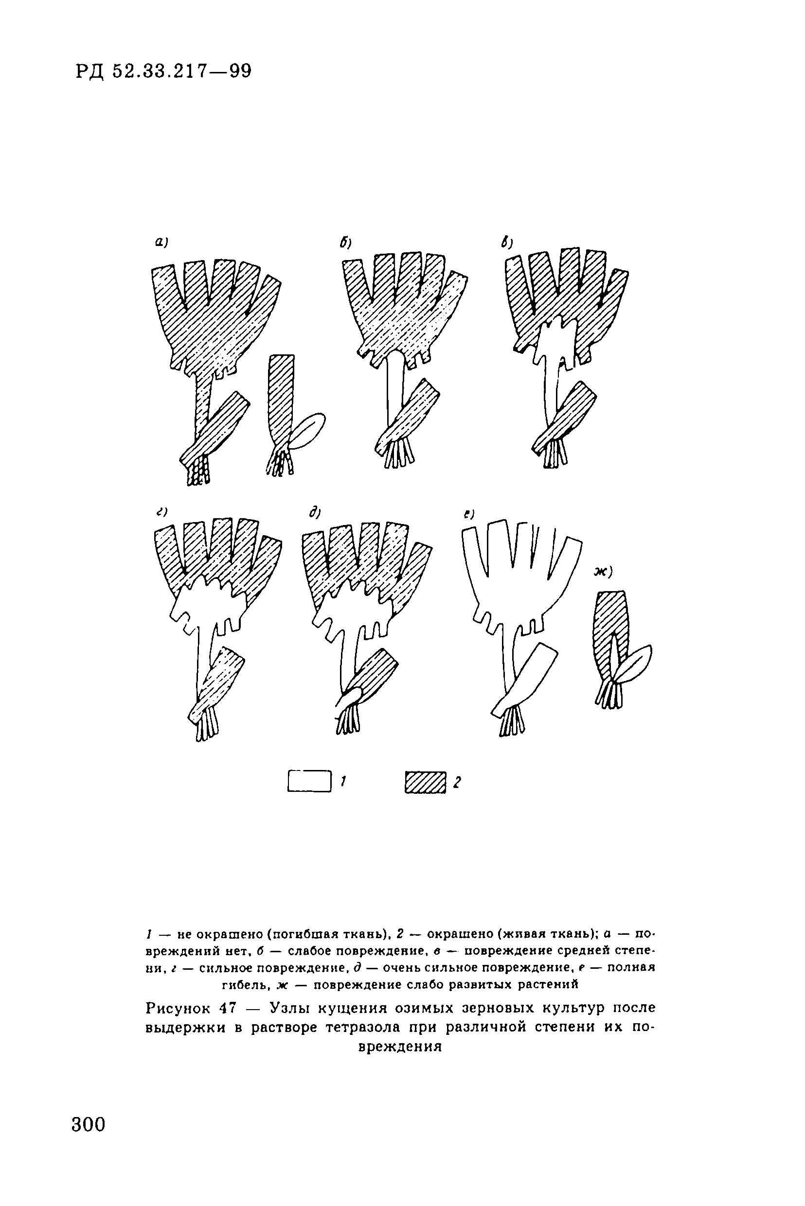 РД 52.33.217-99