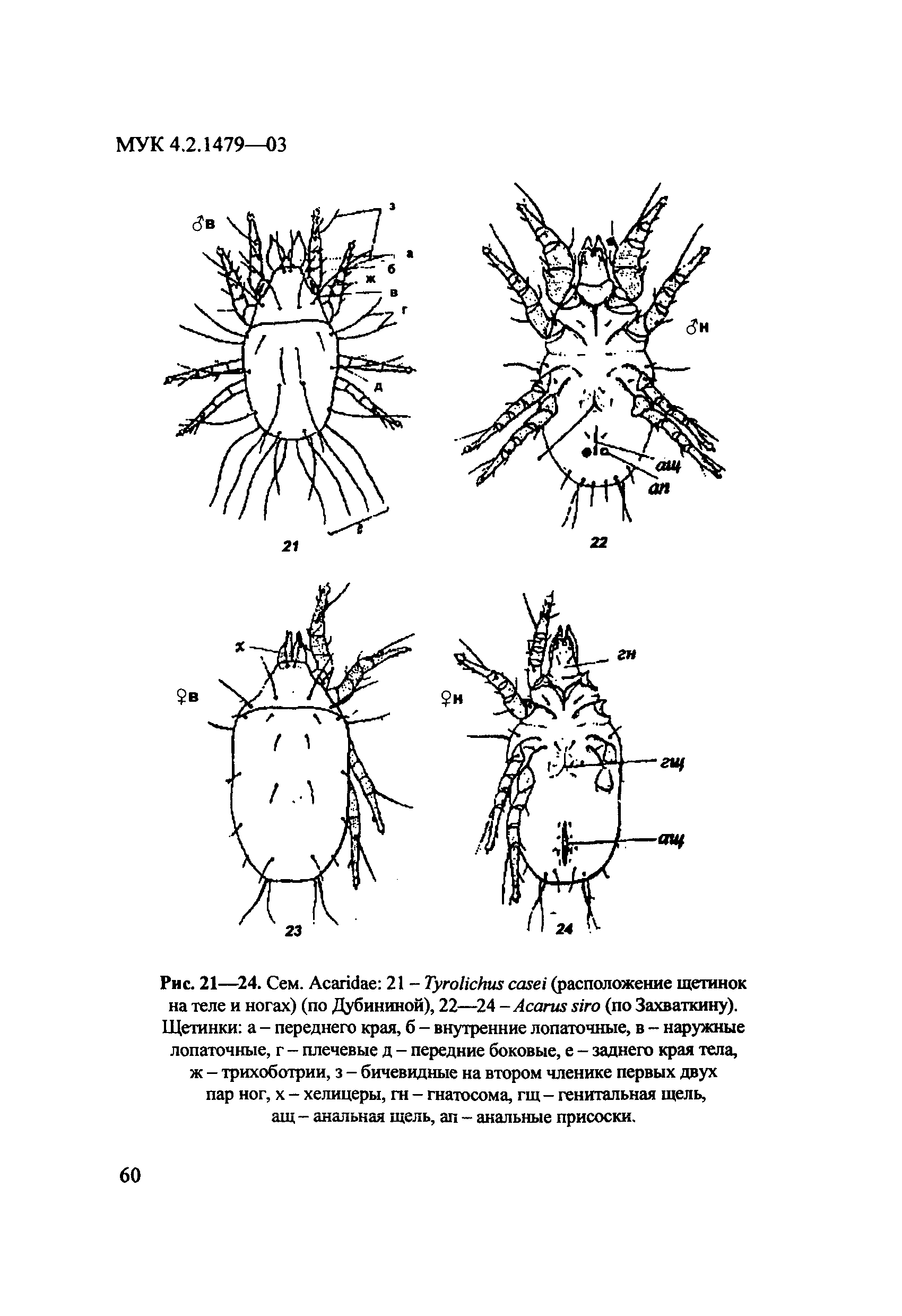 МУК 4.2.1479-03