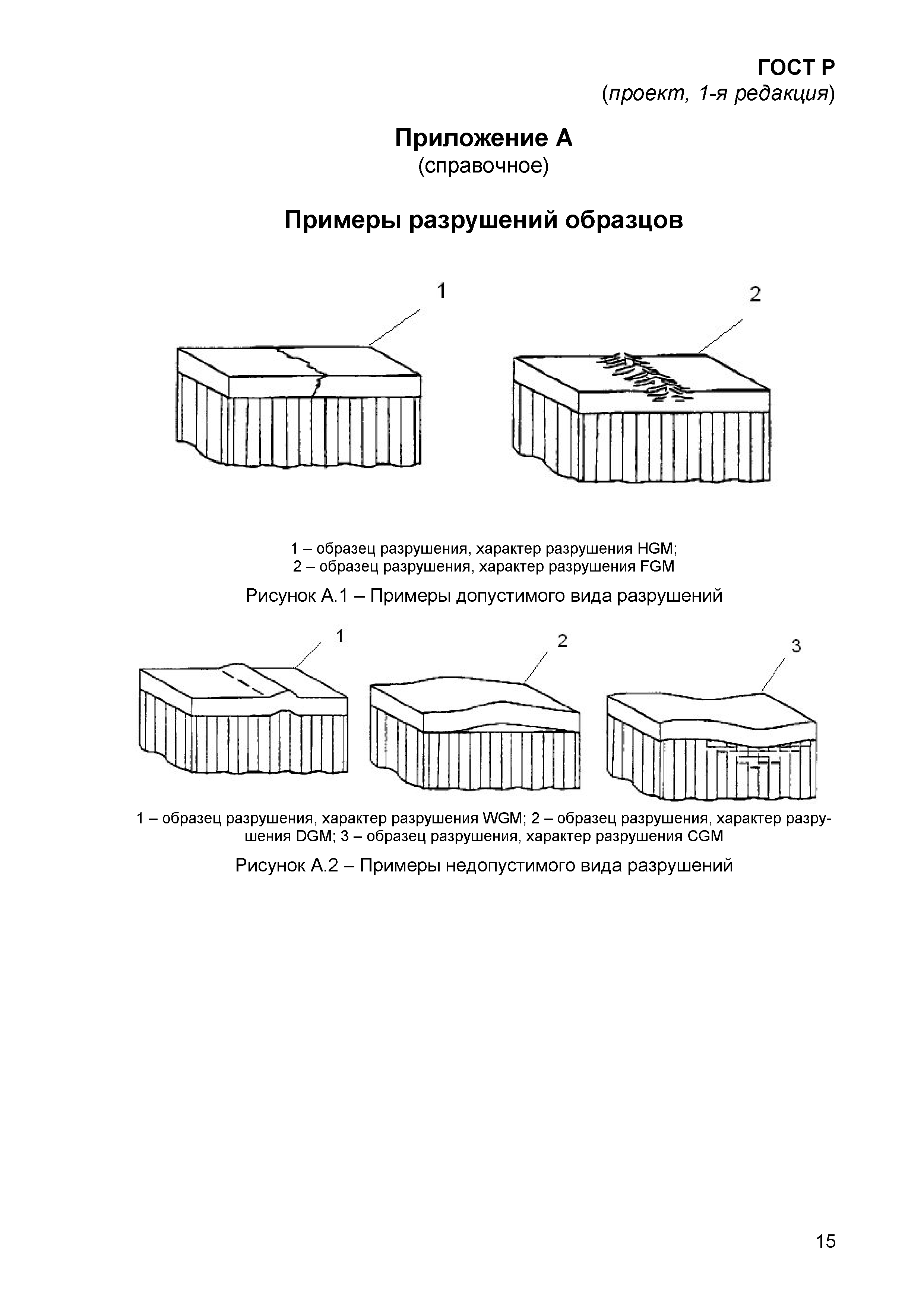 ГОСТ Р проект, 1-я редакция