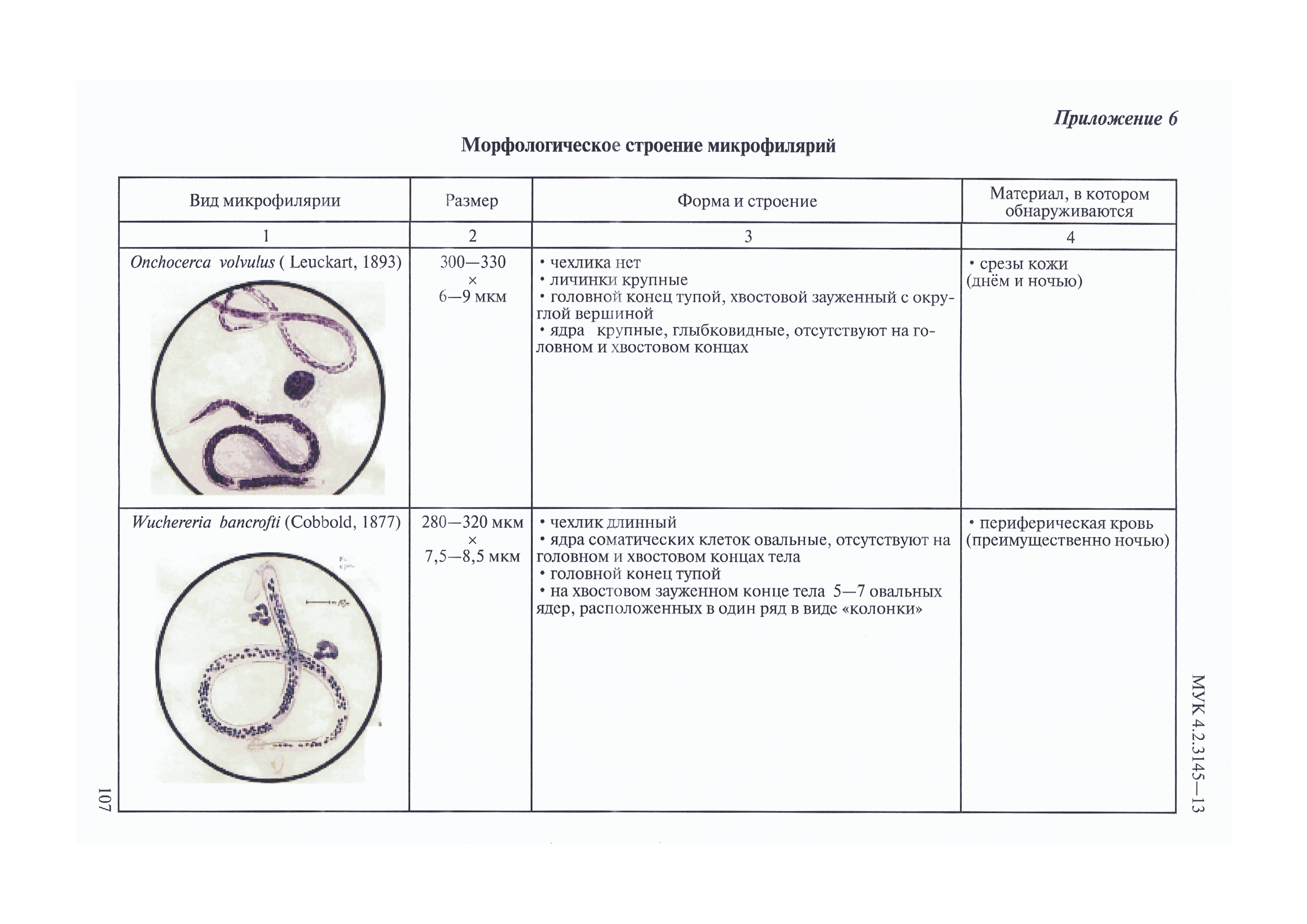 МУК 4.2.3145-13