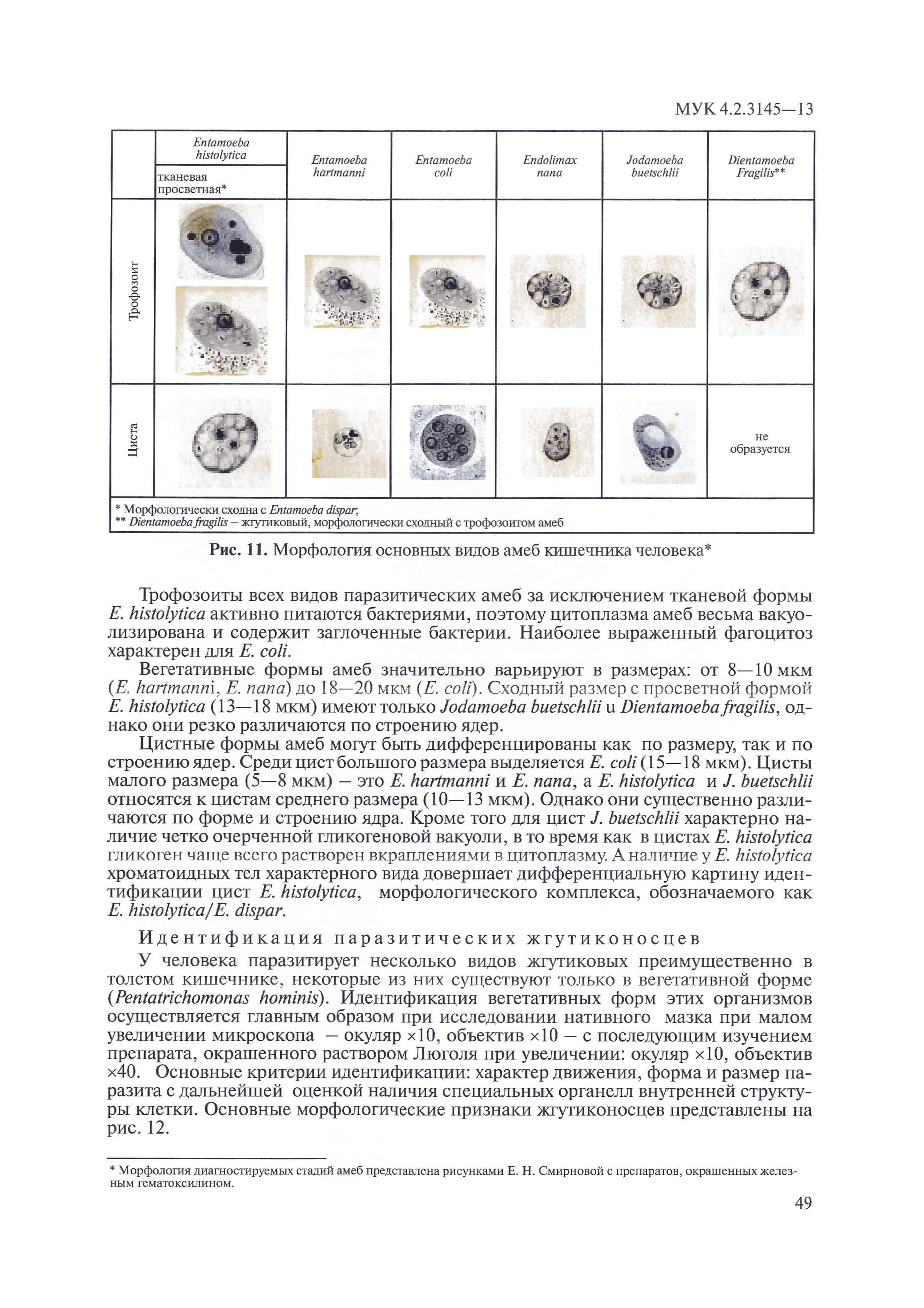 МУК 4.2.3145-13