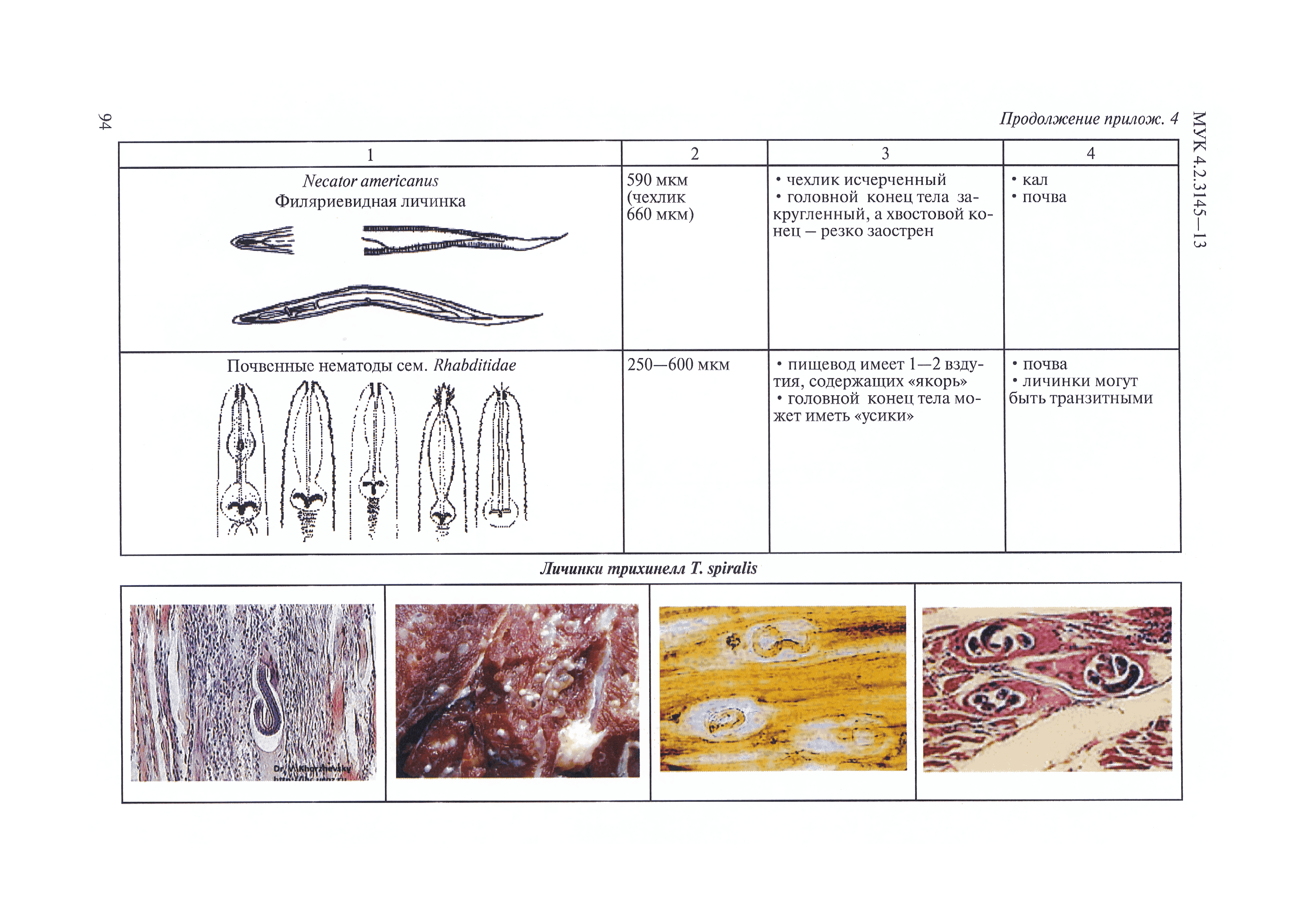 МУК 4.2.3145-13