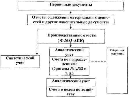 Бухгалтерский Учет Зерновых