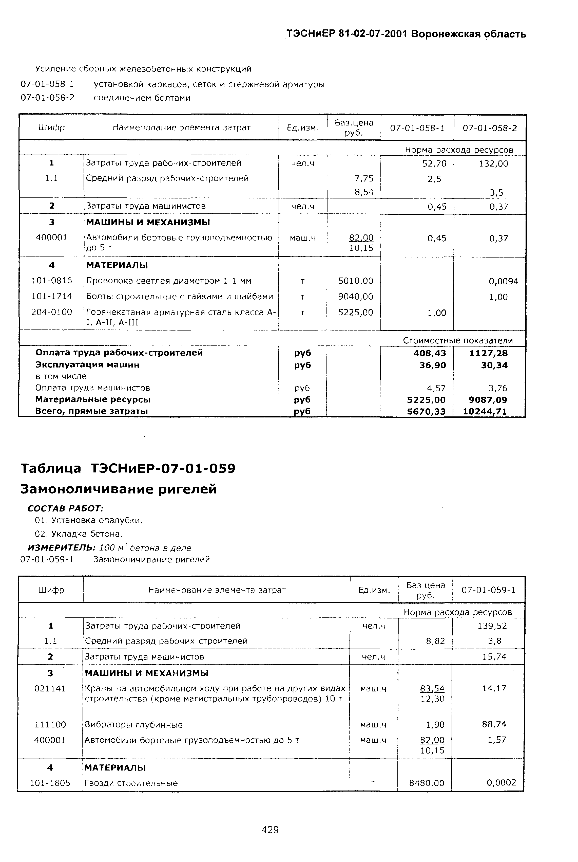 ТЭСНиЕР Воронежская область 81-02-07-2001