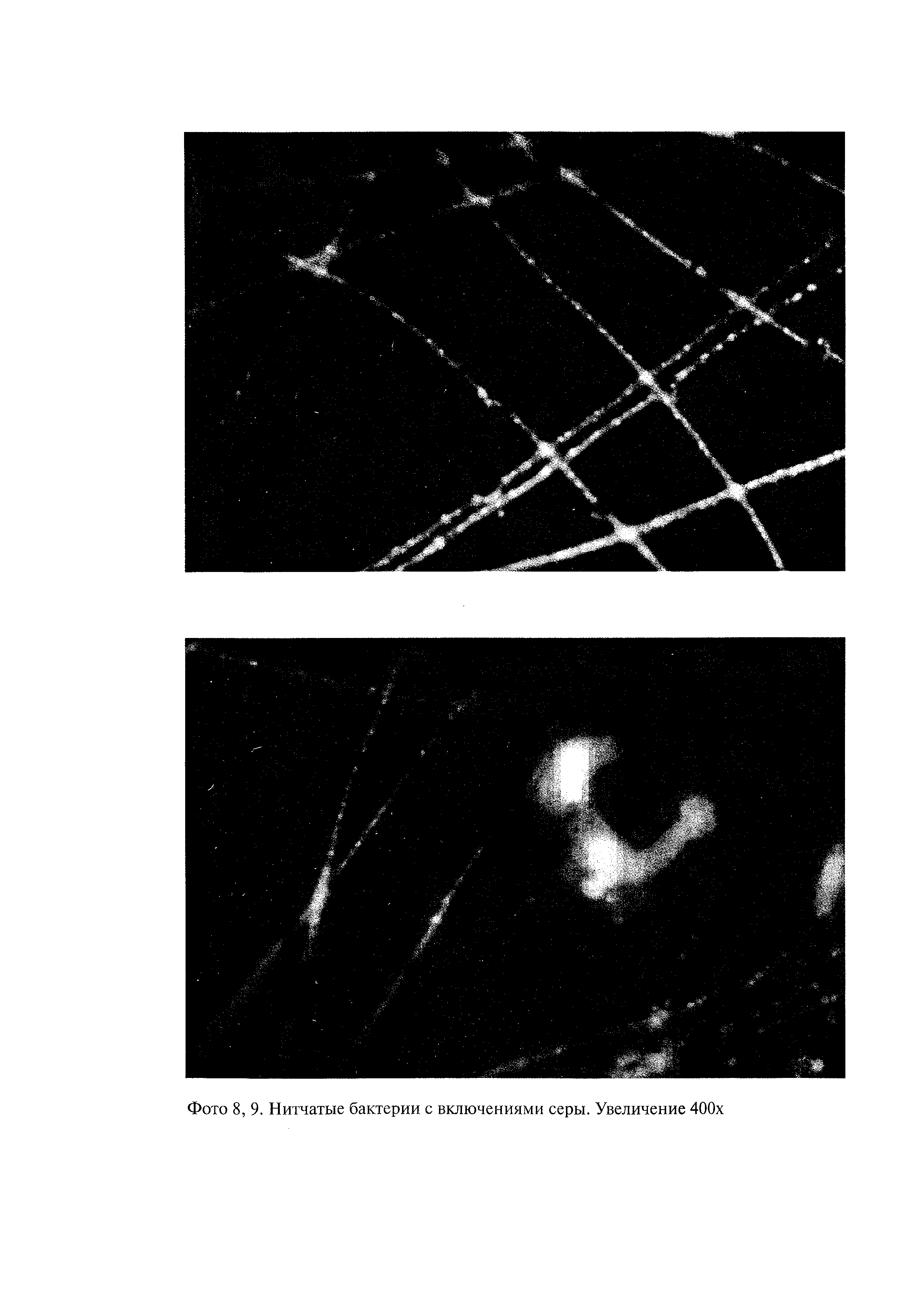 ПНД Ф СБ 14.1.92-96