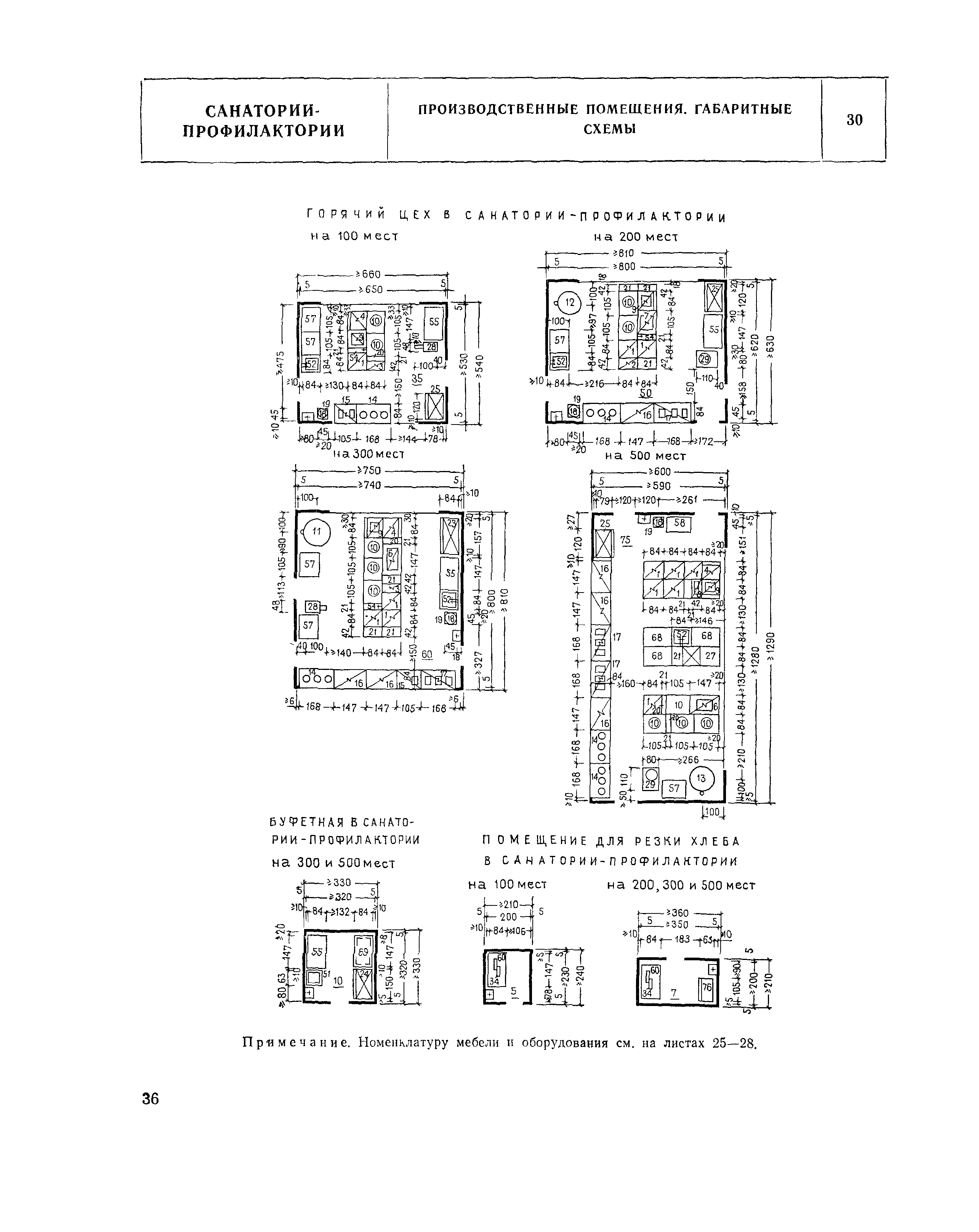 НП 6.4-81