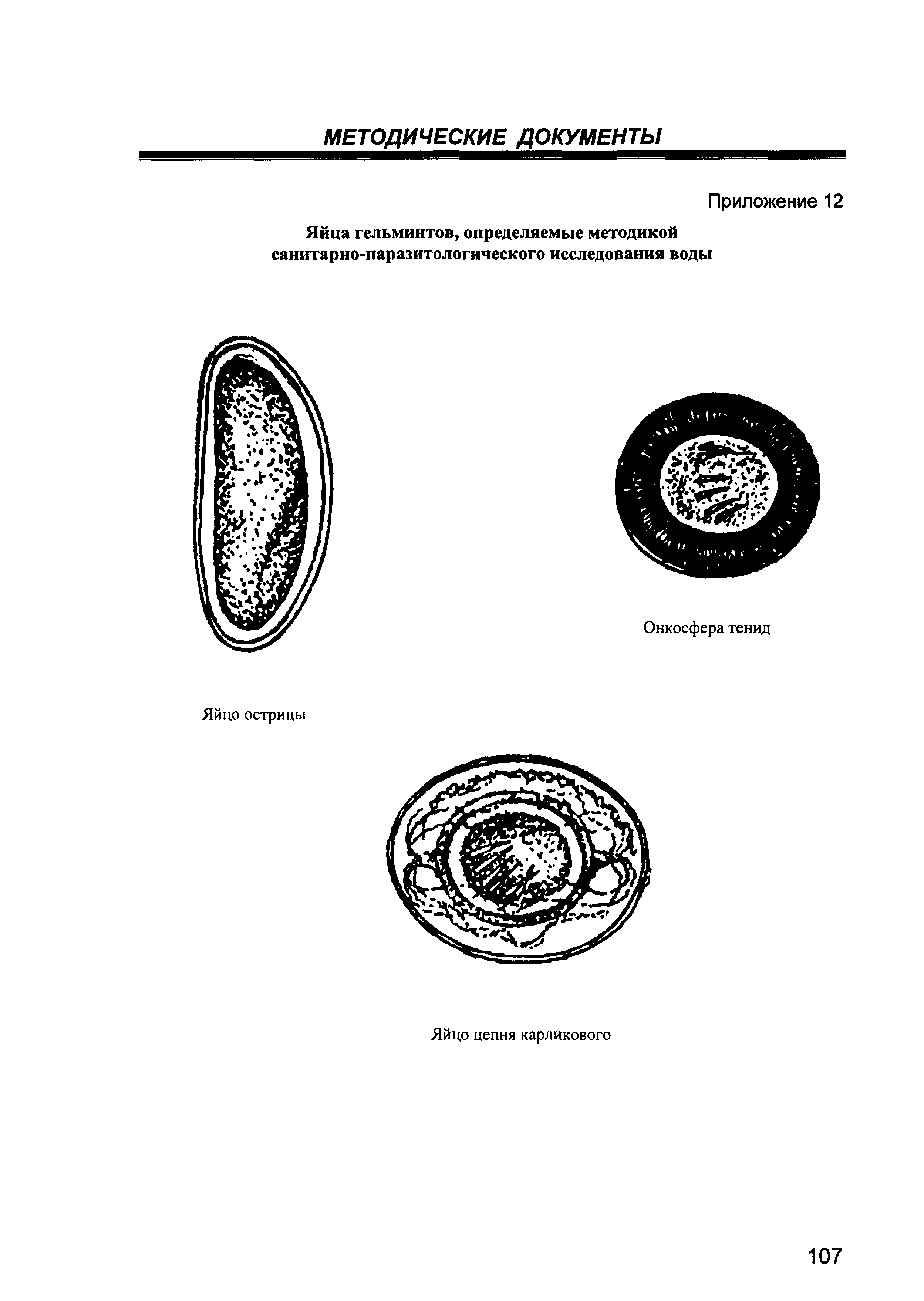 МУК 4.2.1884-04