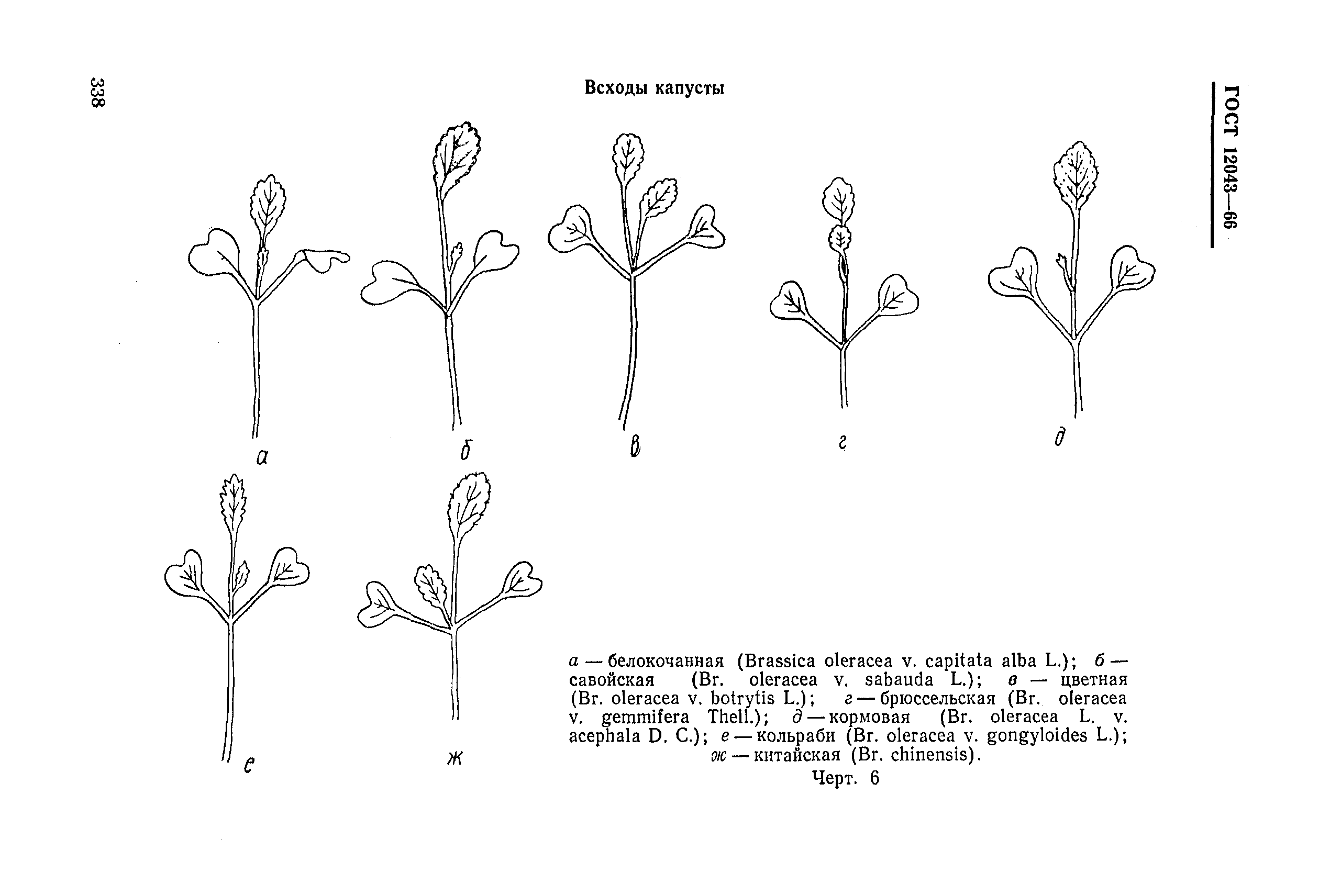 ГОСТ 12043-66