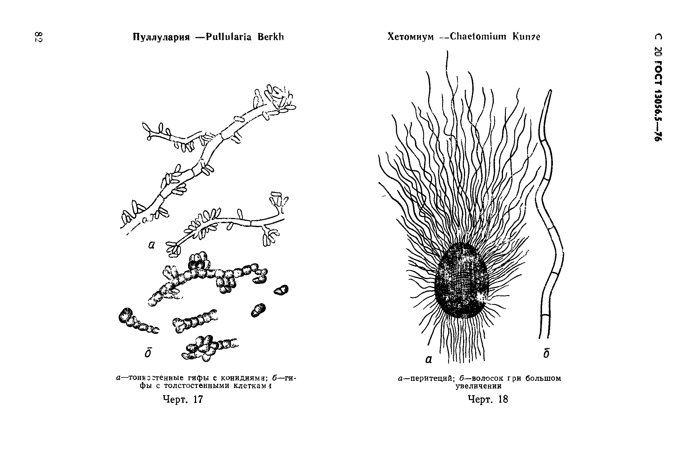 ГОСТ 13056.5-76