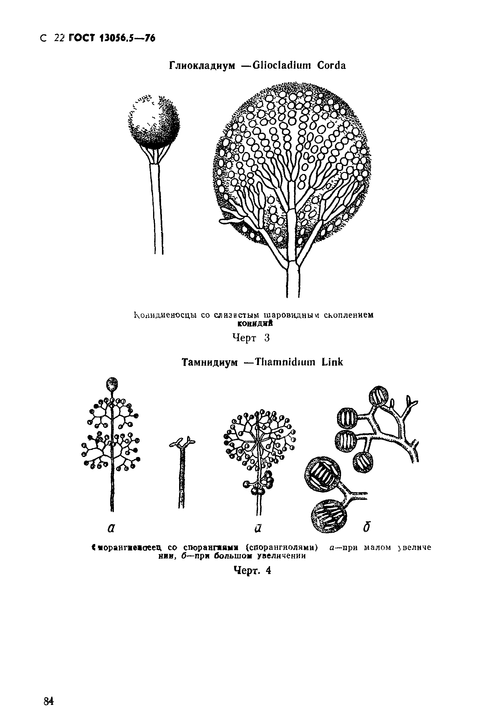 ГОСТ 13056.5-76