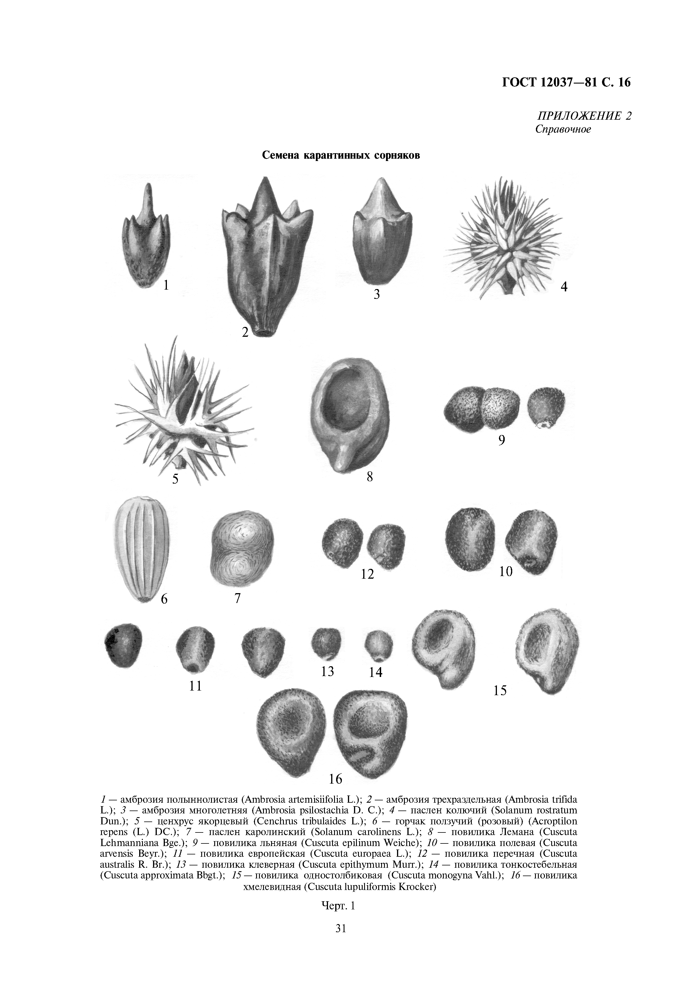 ГОСТ 12037-81