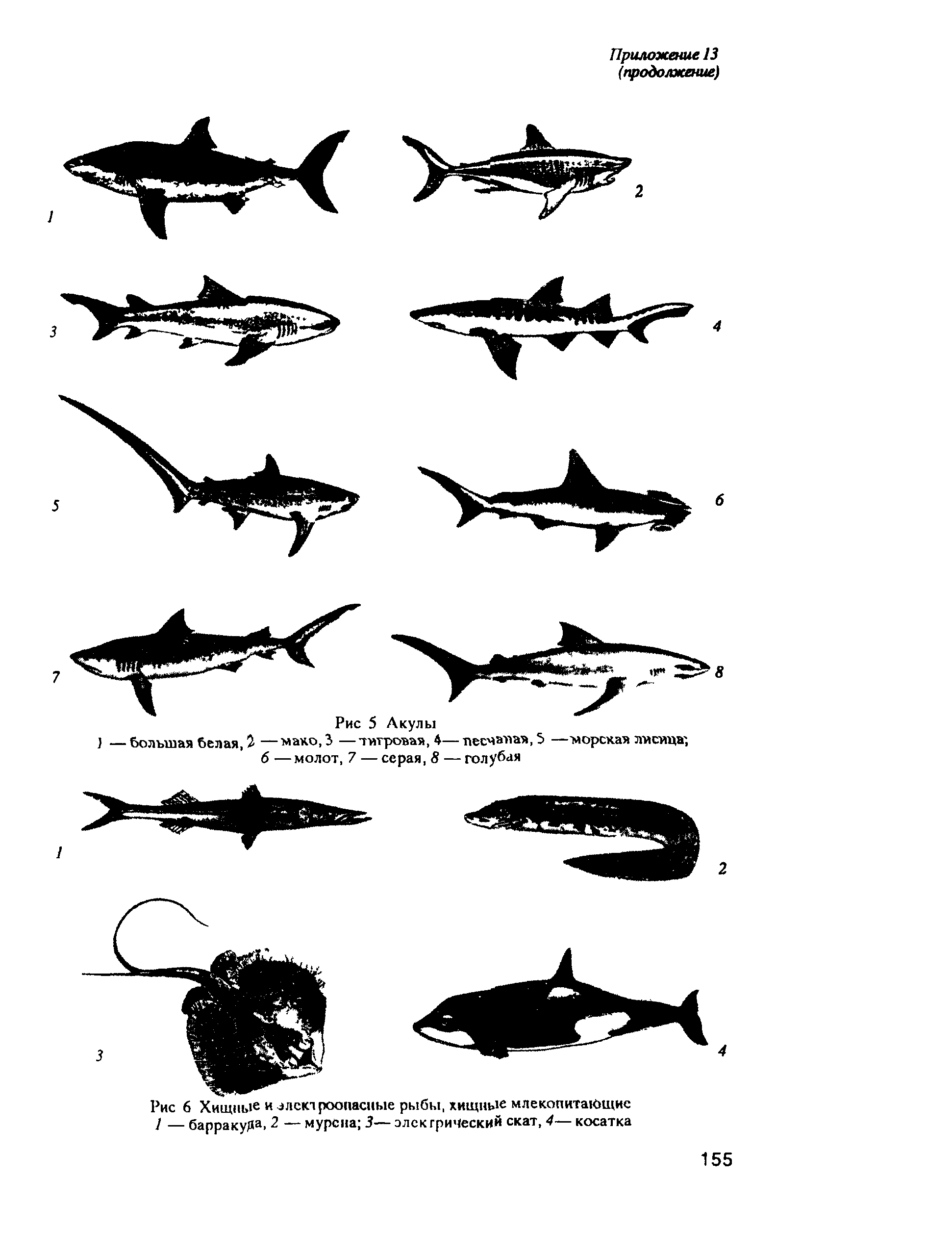 РД 31.84.01-90