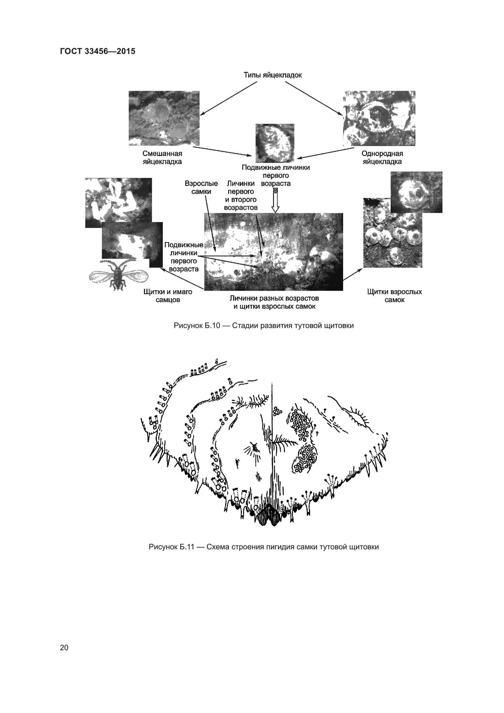 ГОСТ 33456-2015