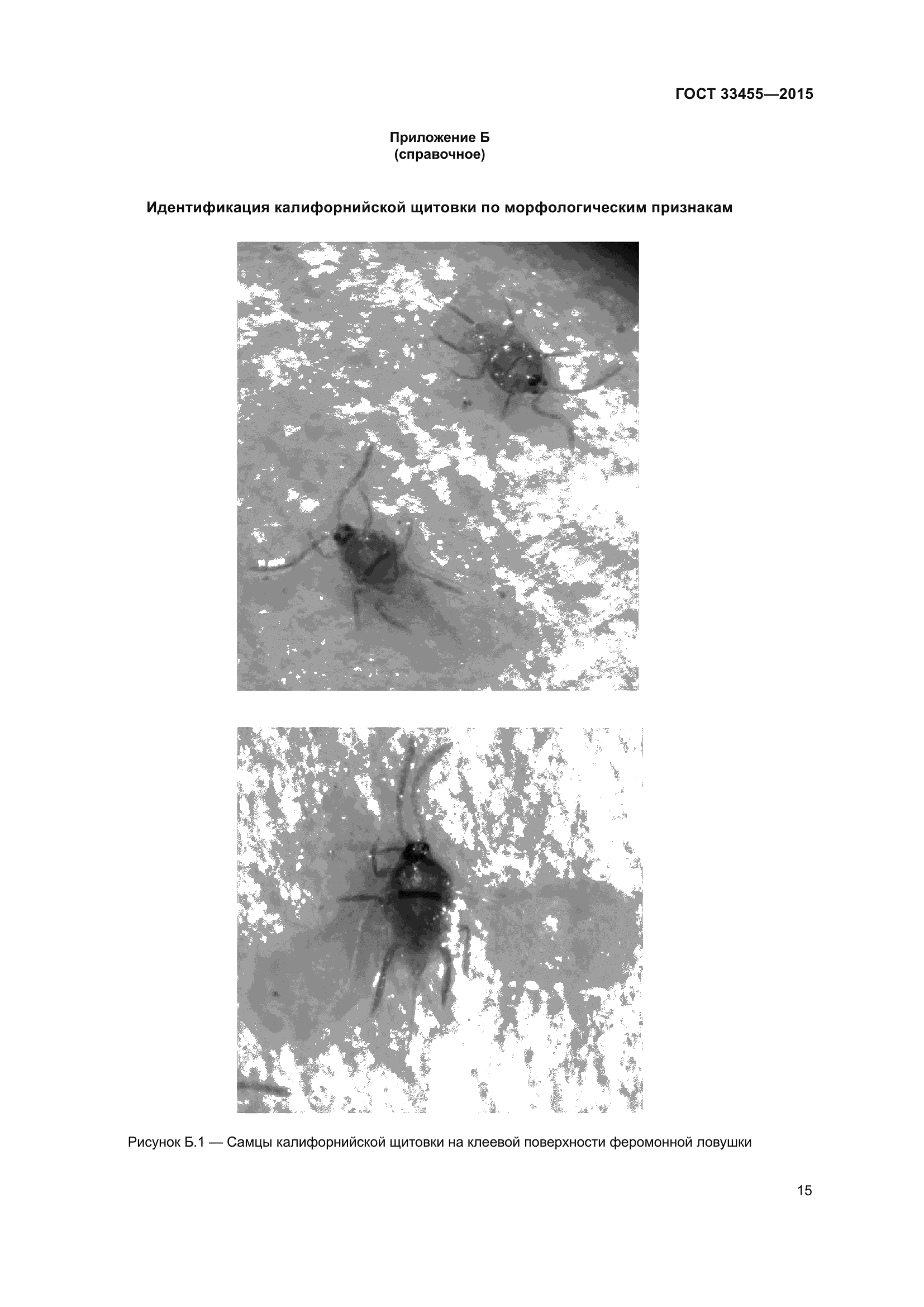 ГОСТ 33455-2015