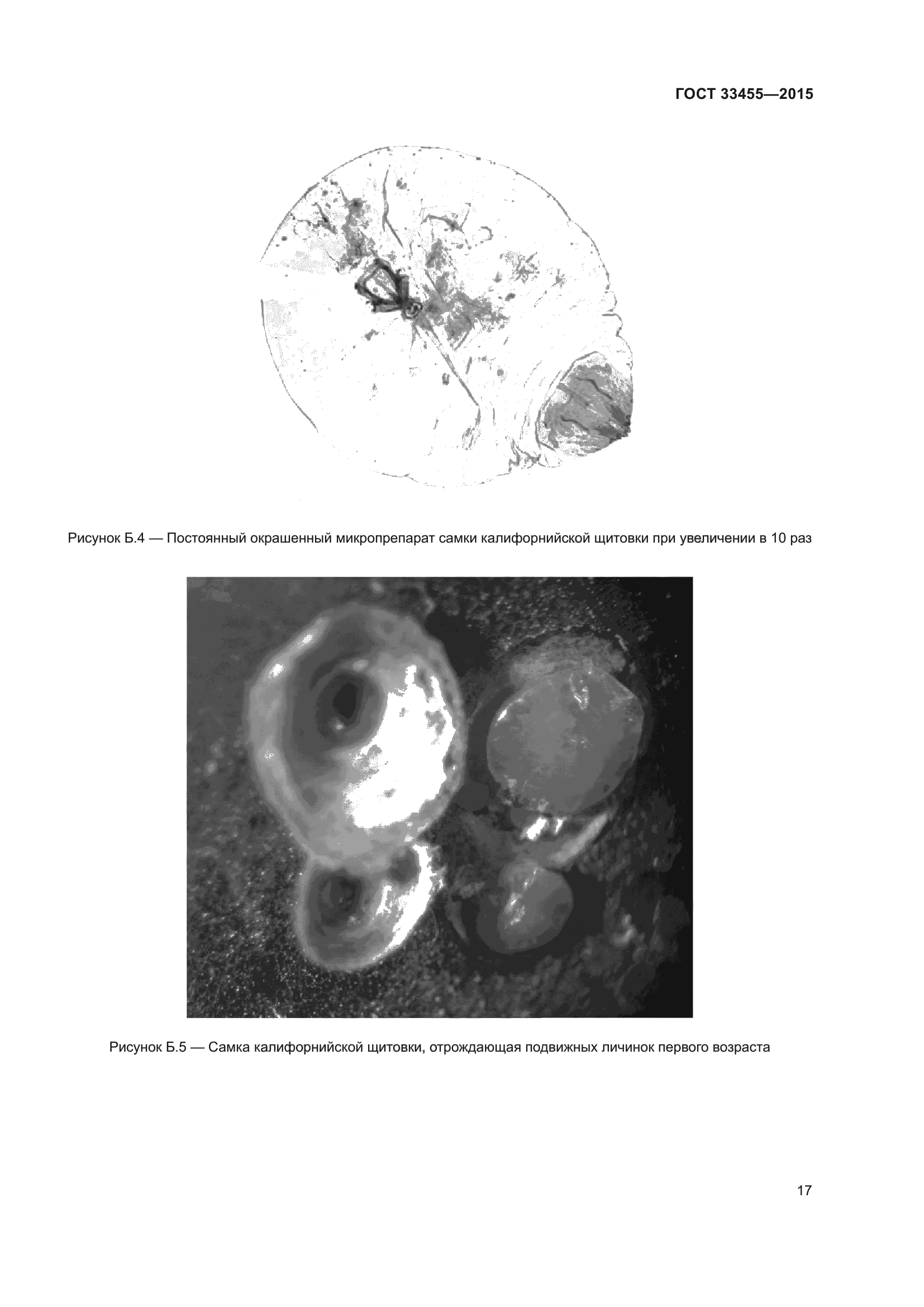 ГОСТ 33455-2015