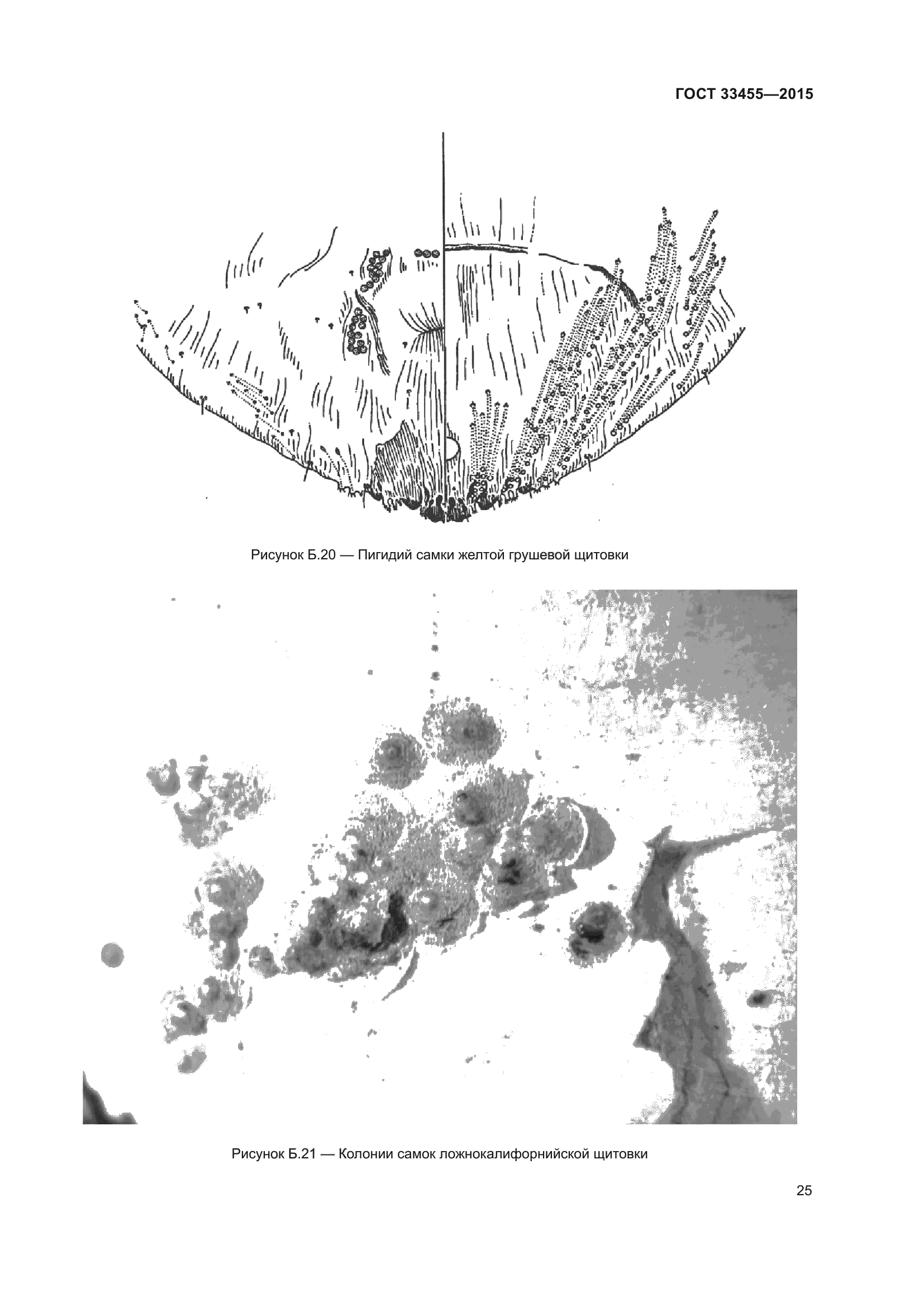 ГОСТ 33455-2015