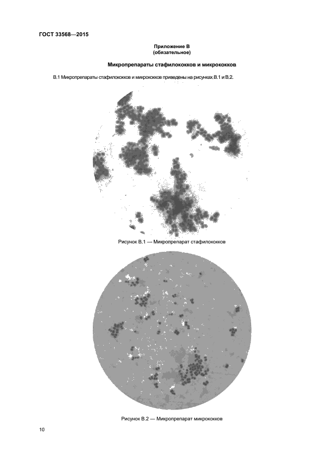 ГОСТ 33568-2015