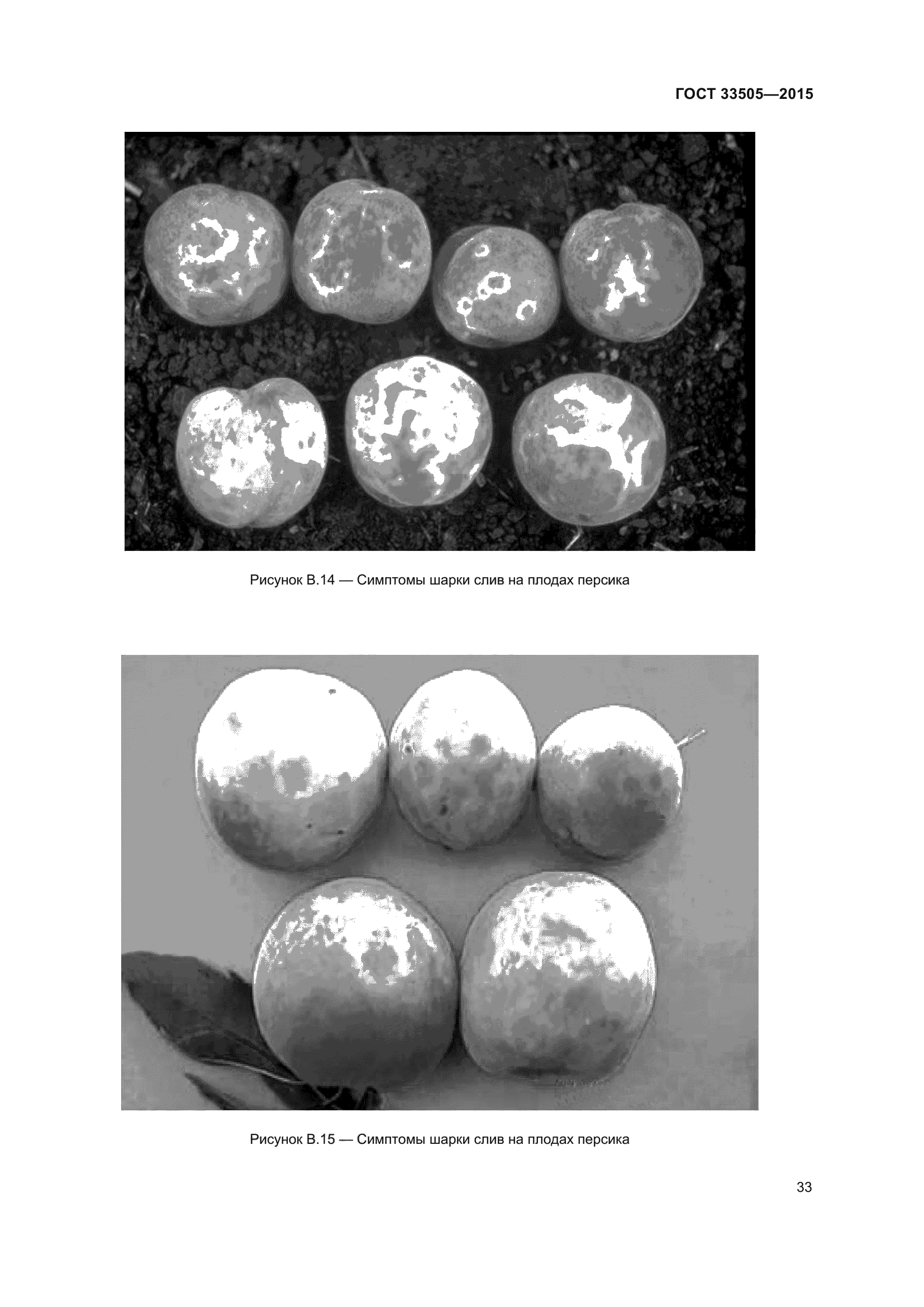 ГОСТ 33505-2015