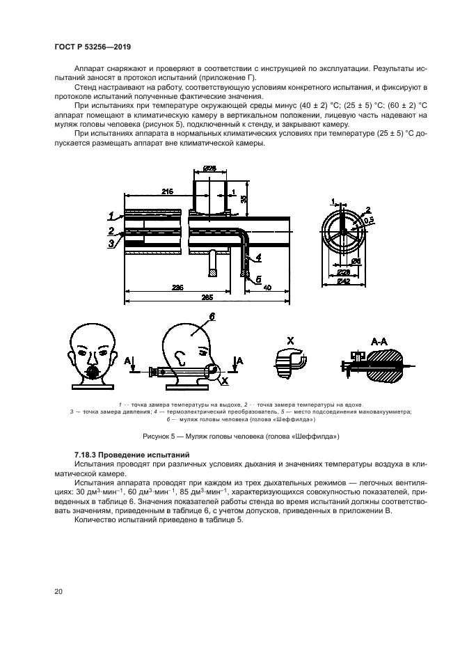 ГОСТ Р 53256-2019