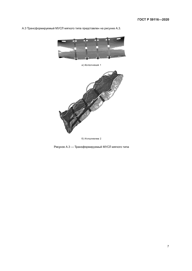 ГОСТ Р 59116-2020