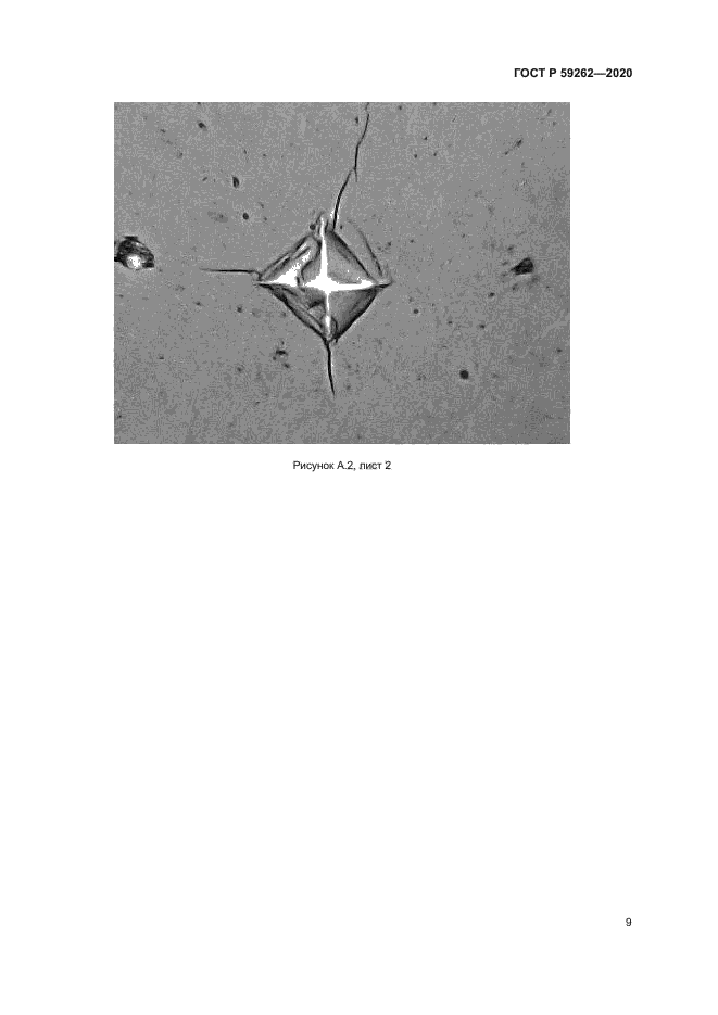 ГОСТ Р 59262-2020