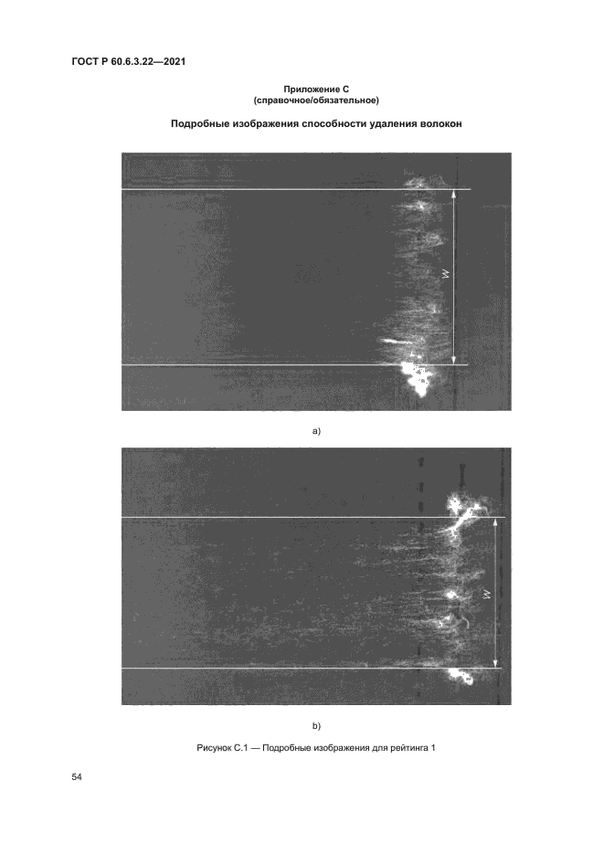 ГОСТ Р 60.6.3.22-2021