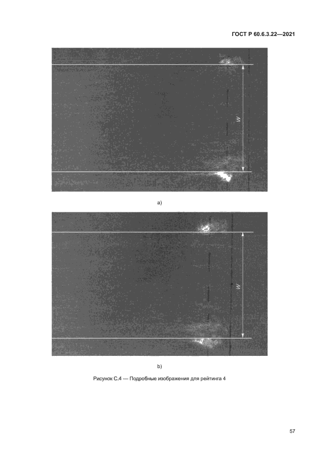 ГОСТ Р 60.6.3.22-2021