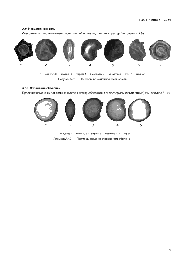 ГОСТ Р 59603-2021