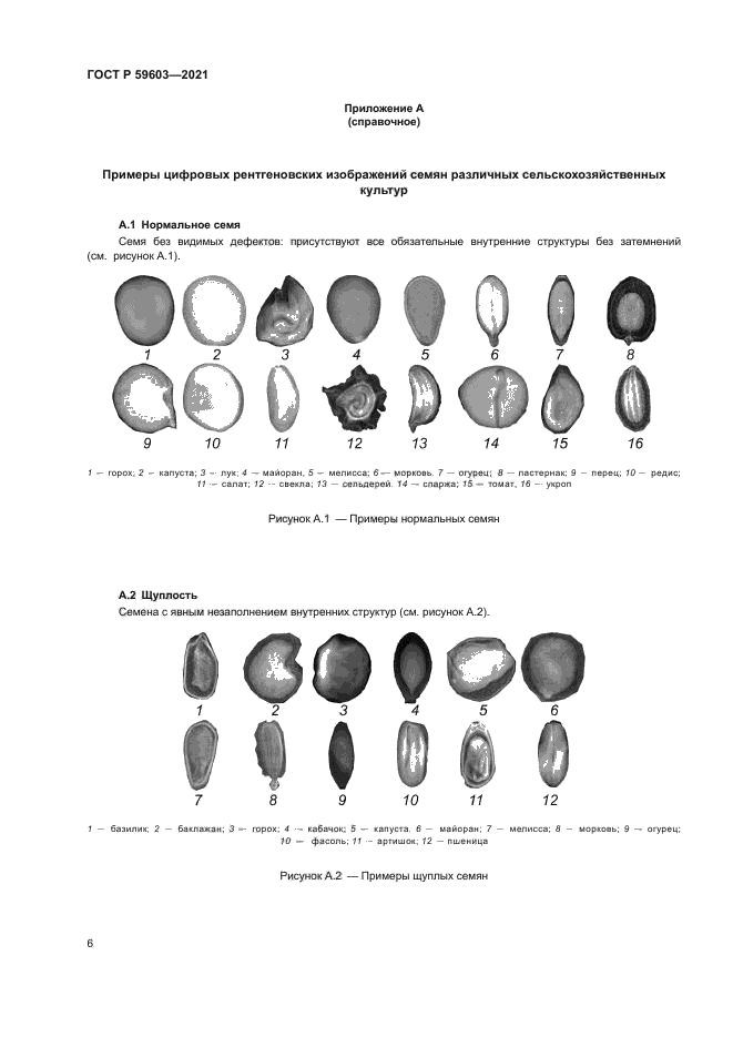 ГОСТ Р 59603-2021