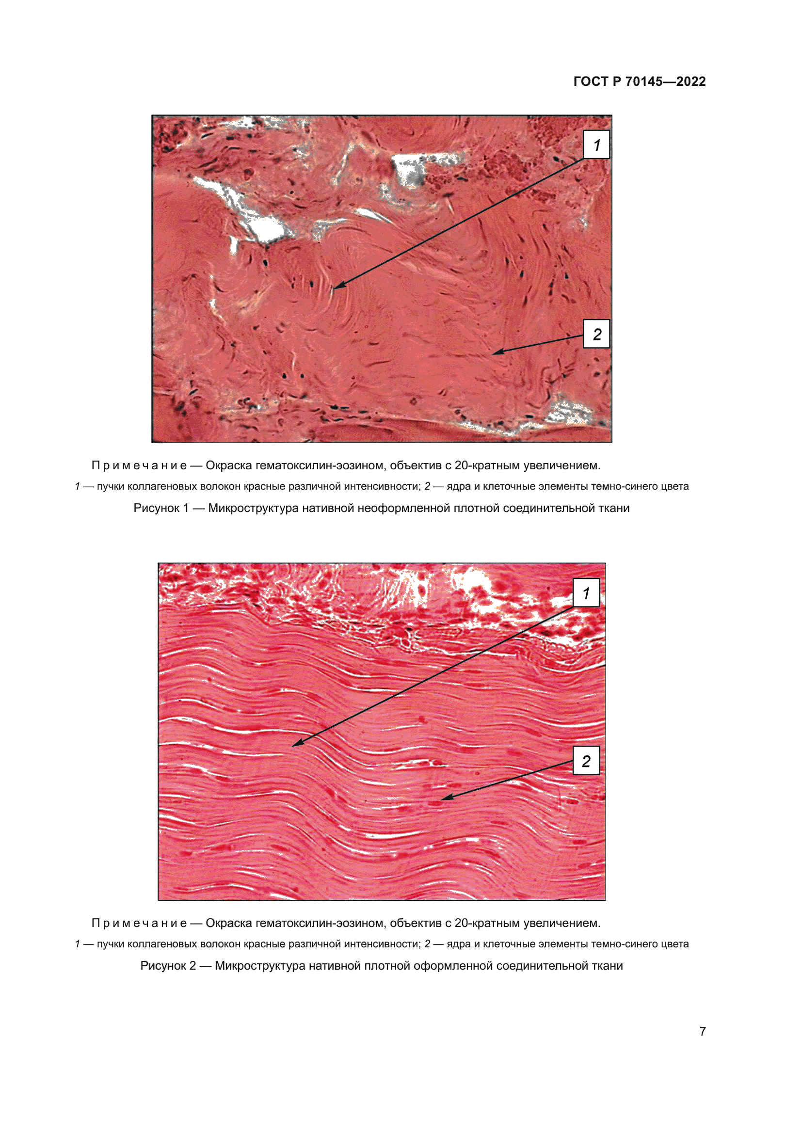 ГОСТ Р 70145-2022