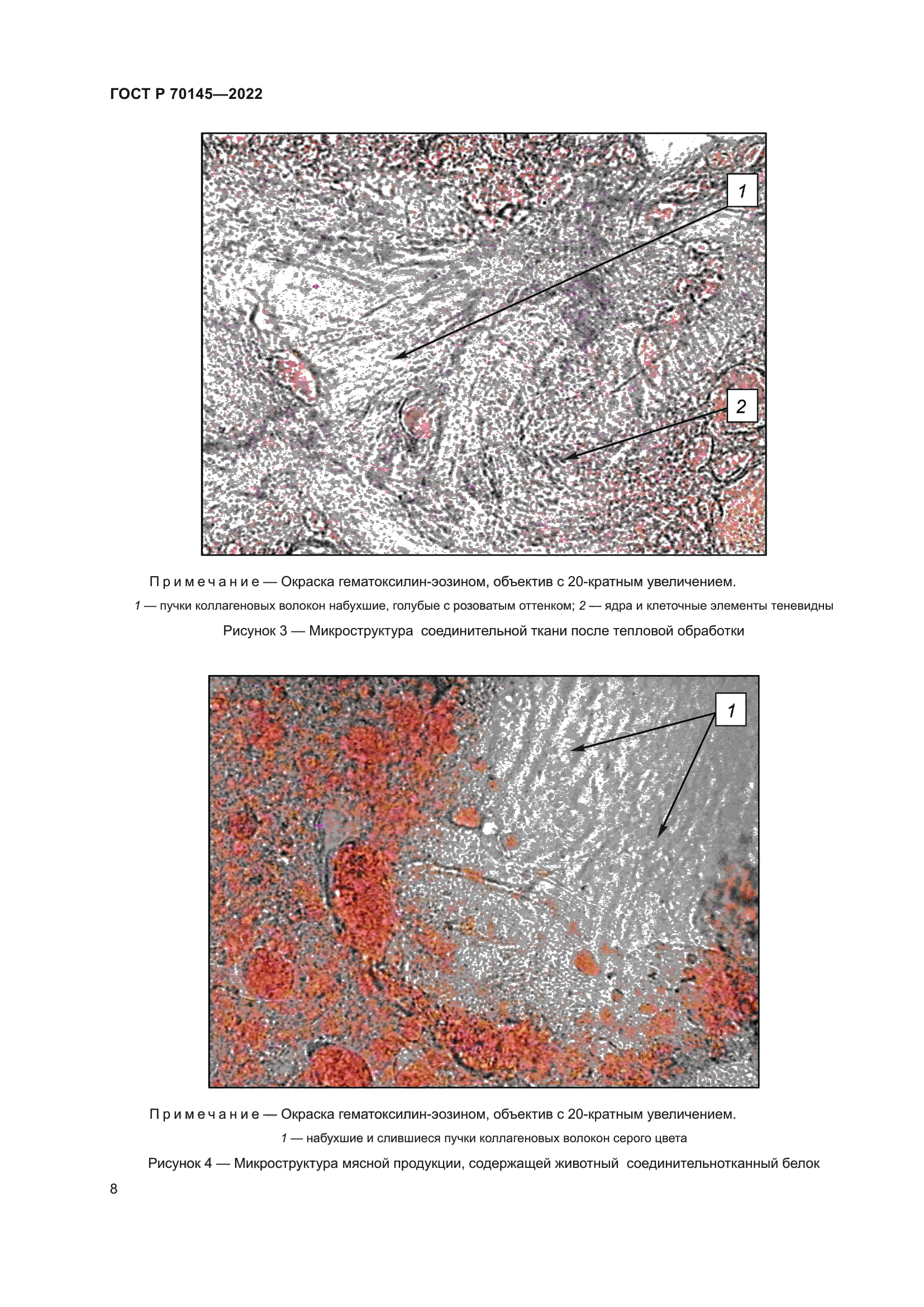 ГОСТ Р 70145-2022