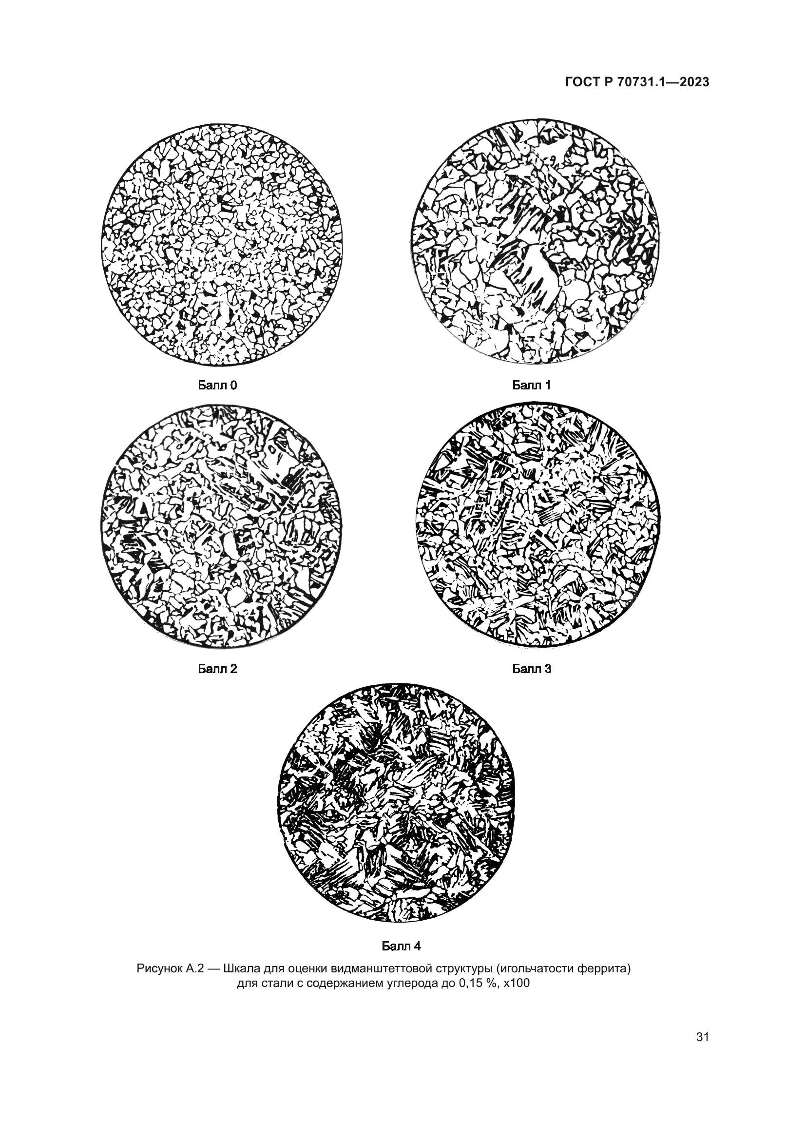 ГОСТ Р 70731.1-2023