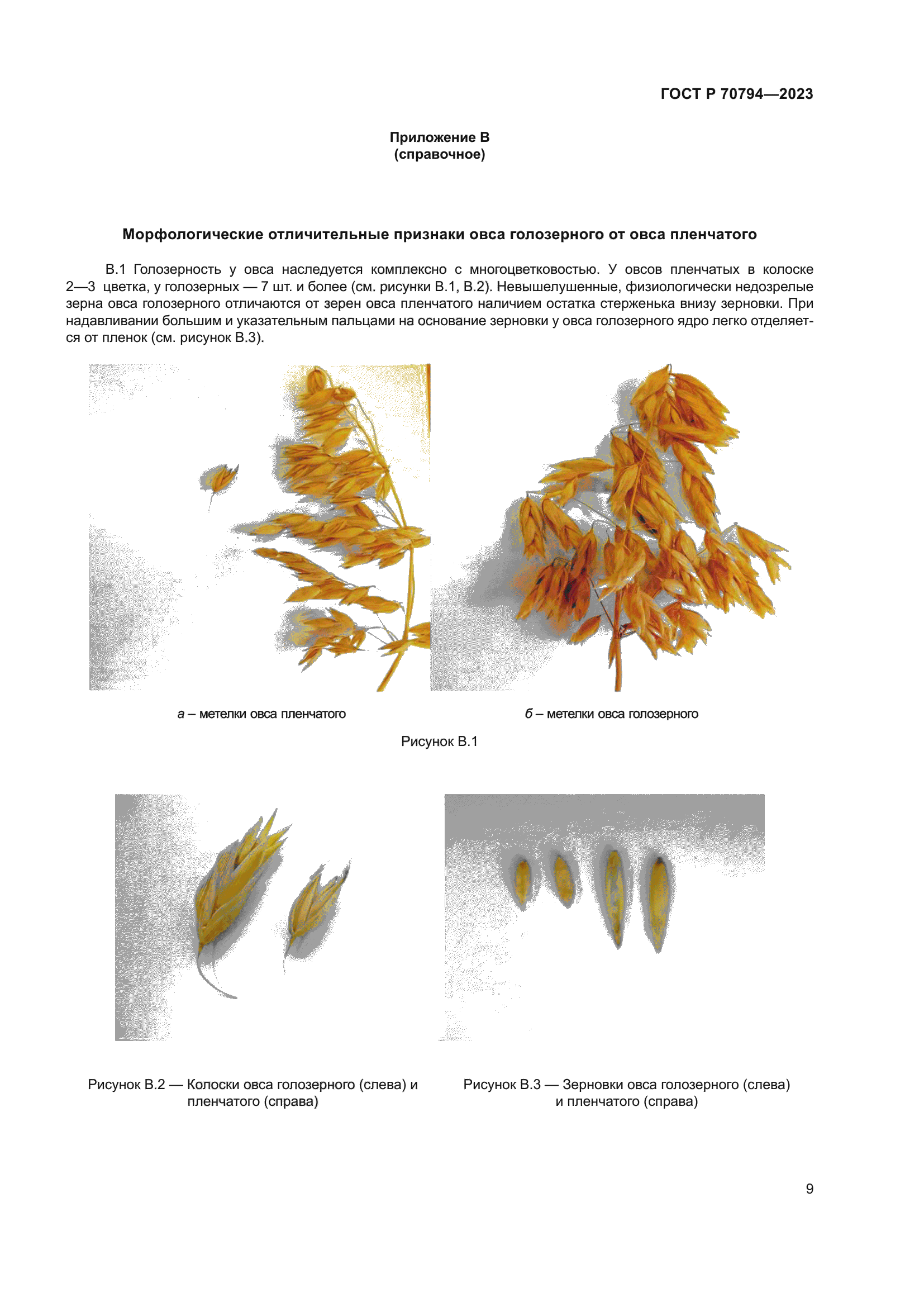 ГОСТ Р 70794-2023