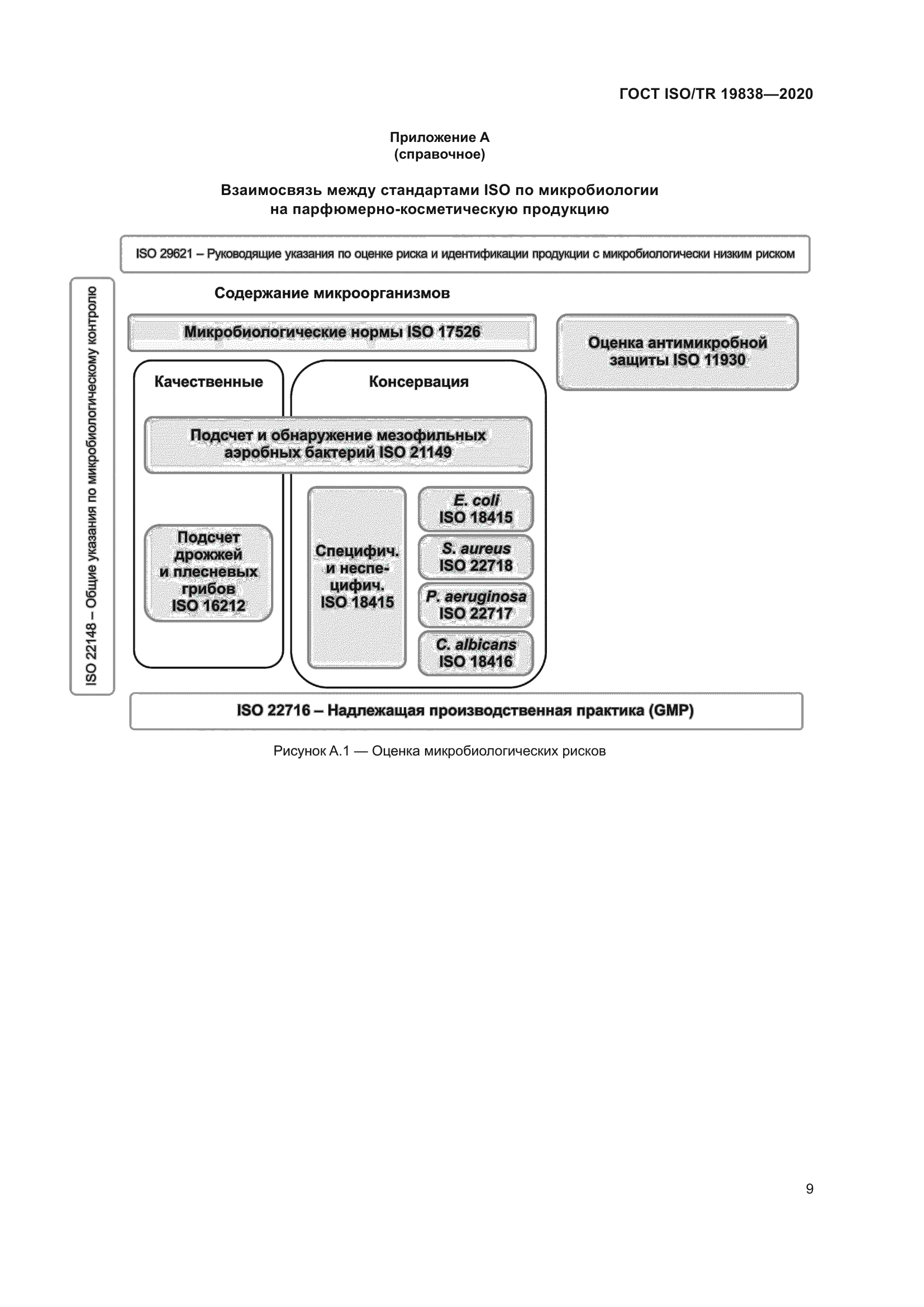 ГОСТ ISO/TR 19838-2020