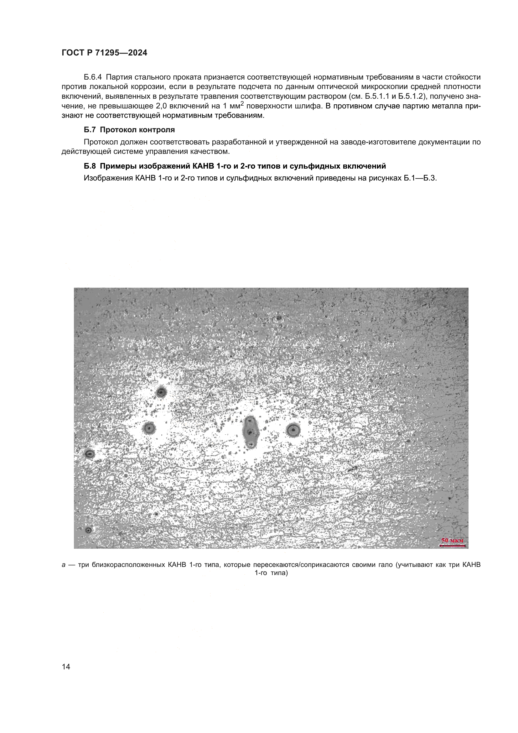 ГОСТ Р 71295-2024