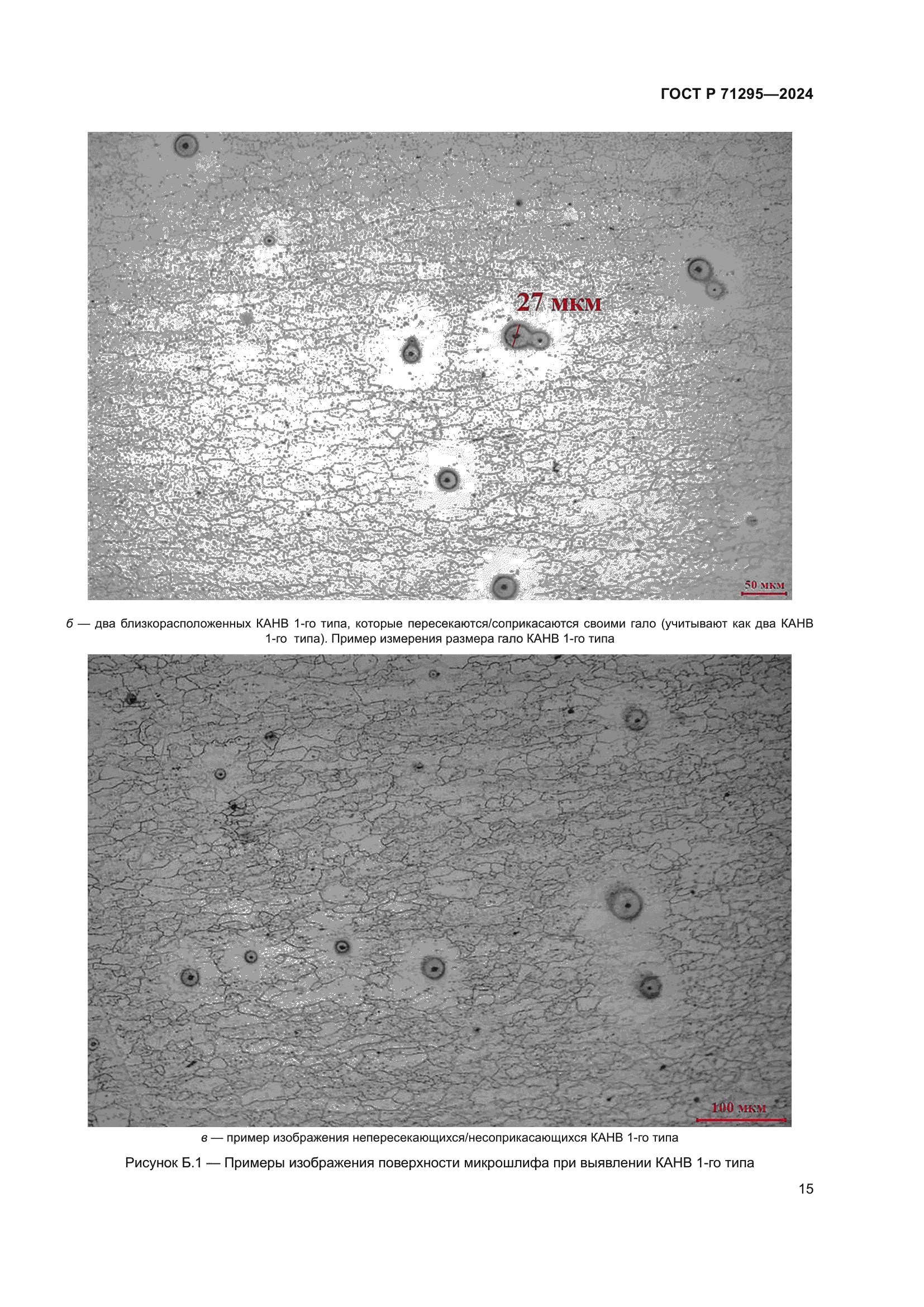 ГОСТ Р 71295-2024