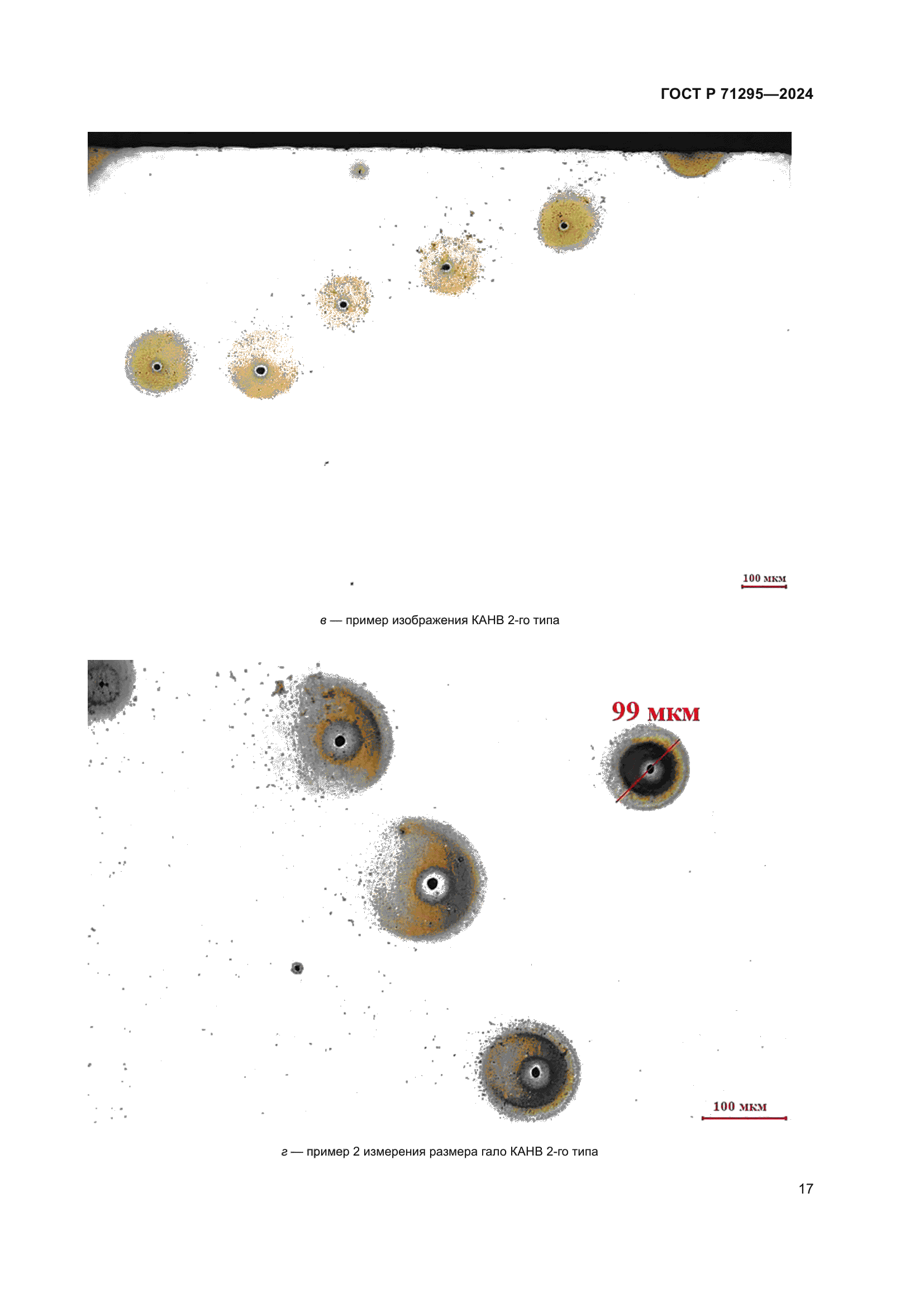ГОСТ Р 71295-2024