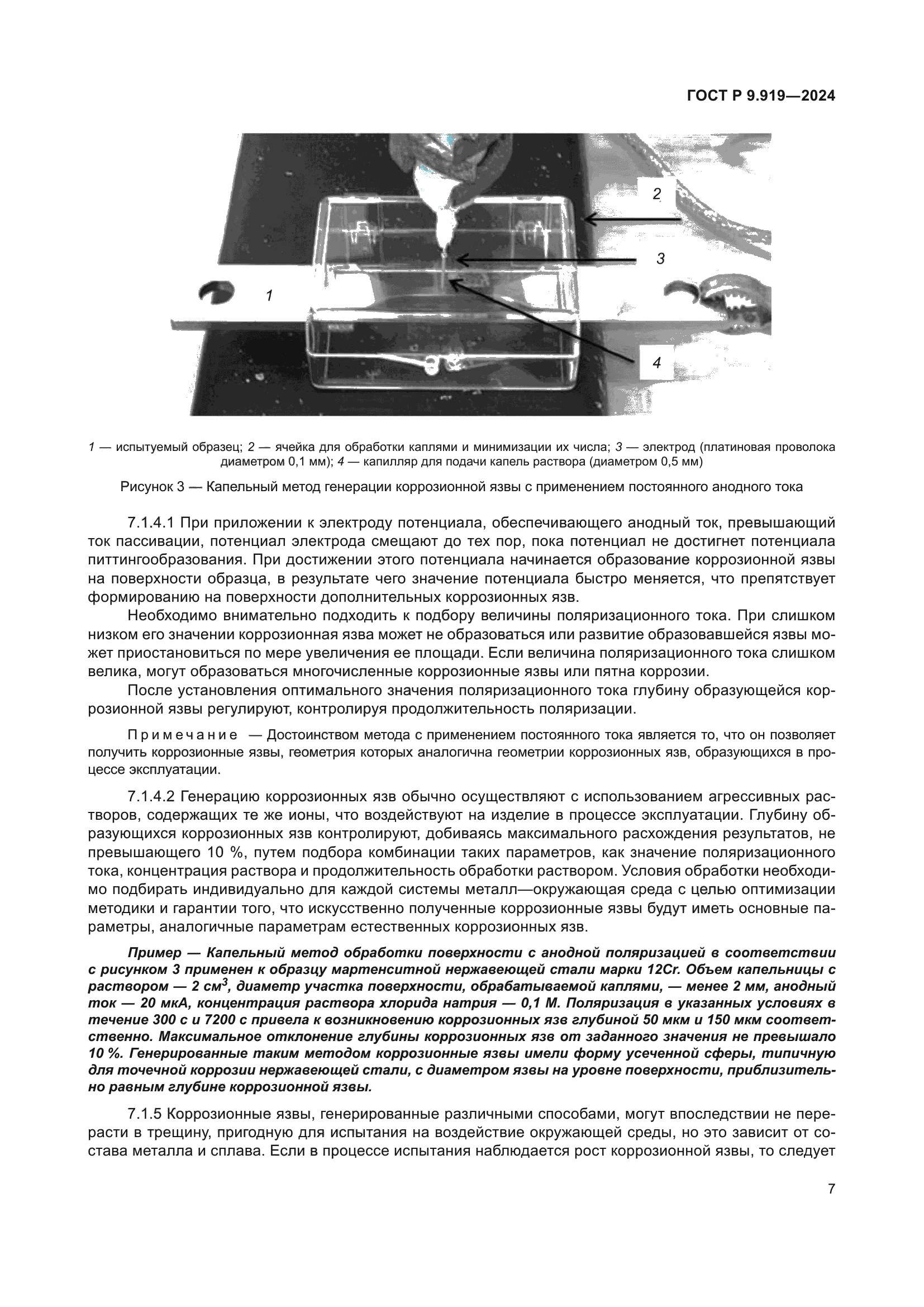 ГОСТ Р 9.919-2024