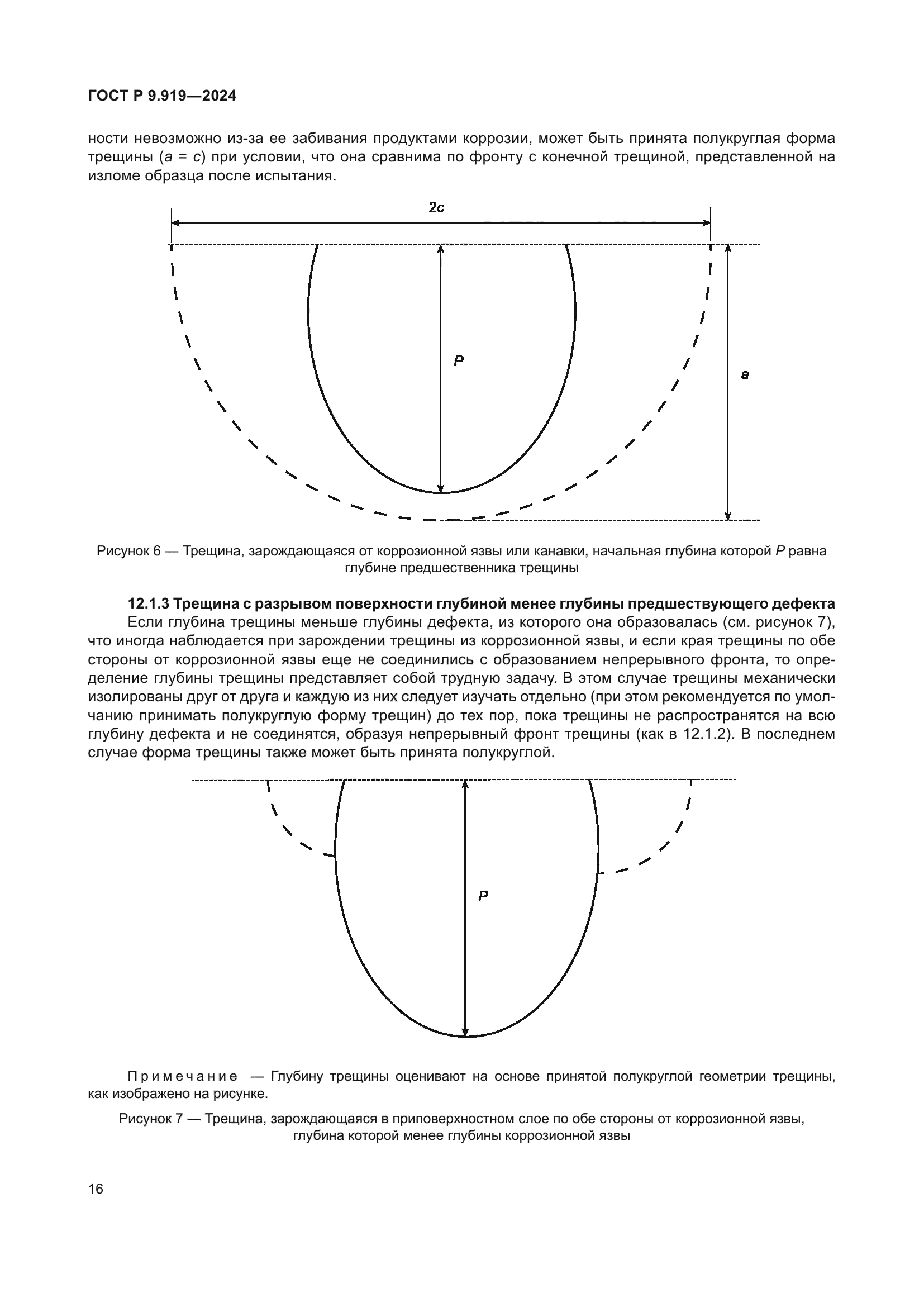 ГОСТ Р 9.919-2024