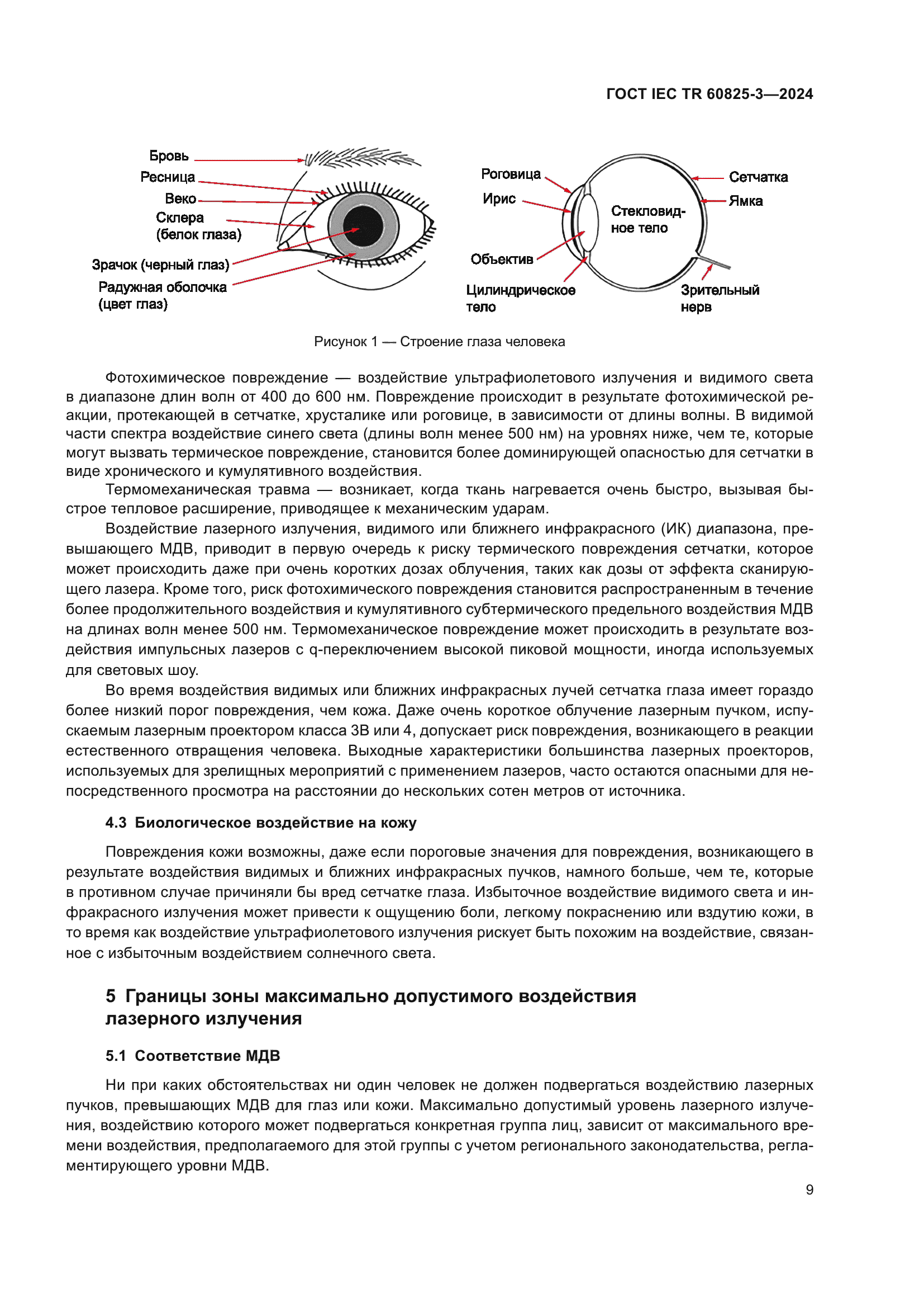 ГОСТ IEC TR 60825-3-2024