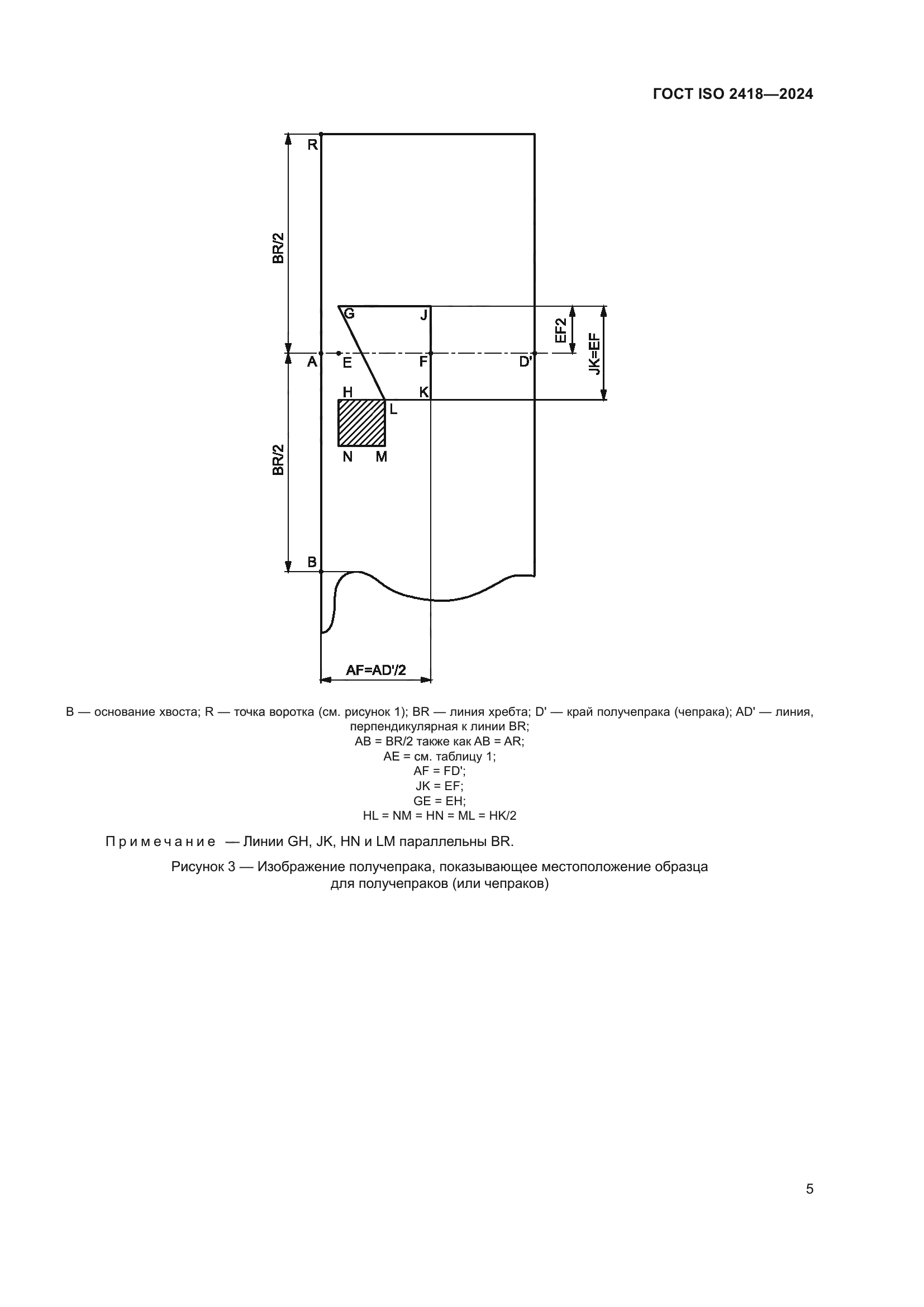 ГОСТ ISO 2418-2024