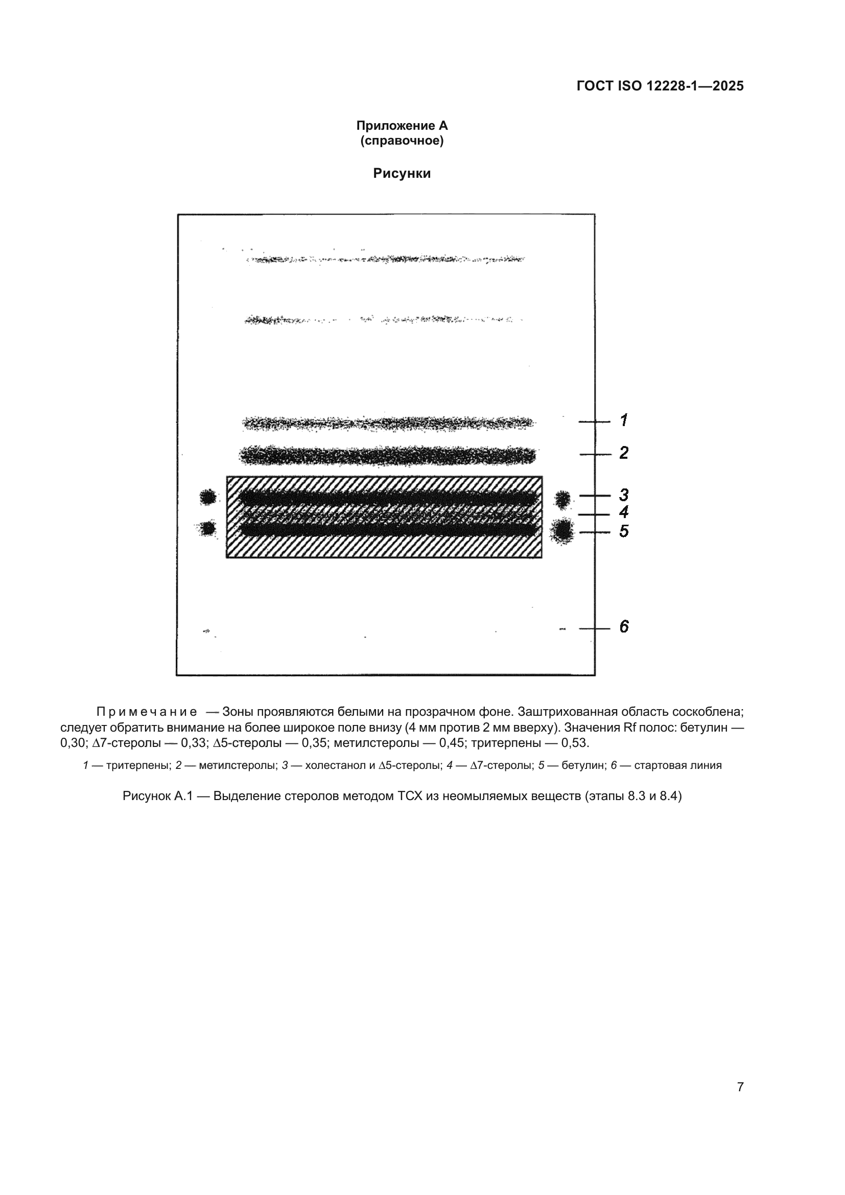 ГОСТ ISO 12228-1-2025