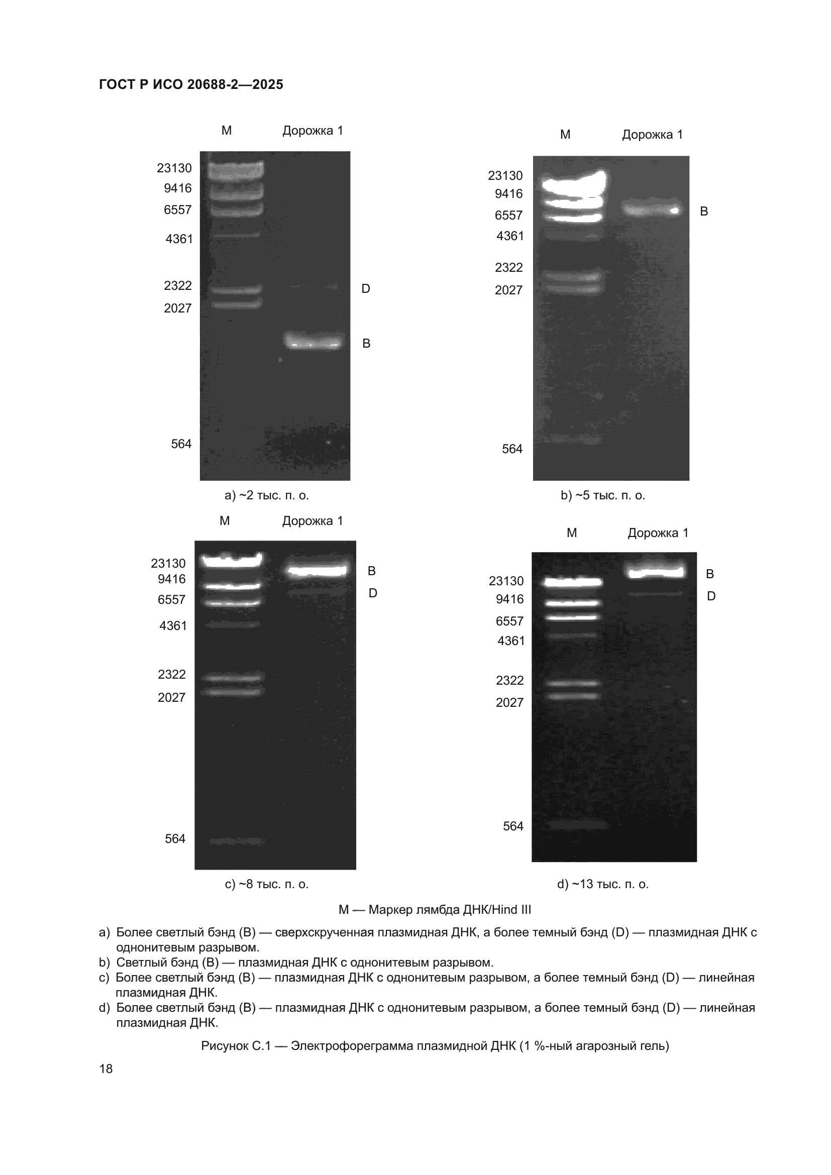 ГОСТ Р ИСО 20688-2-2025