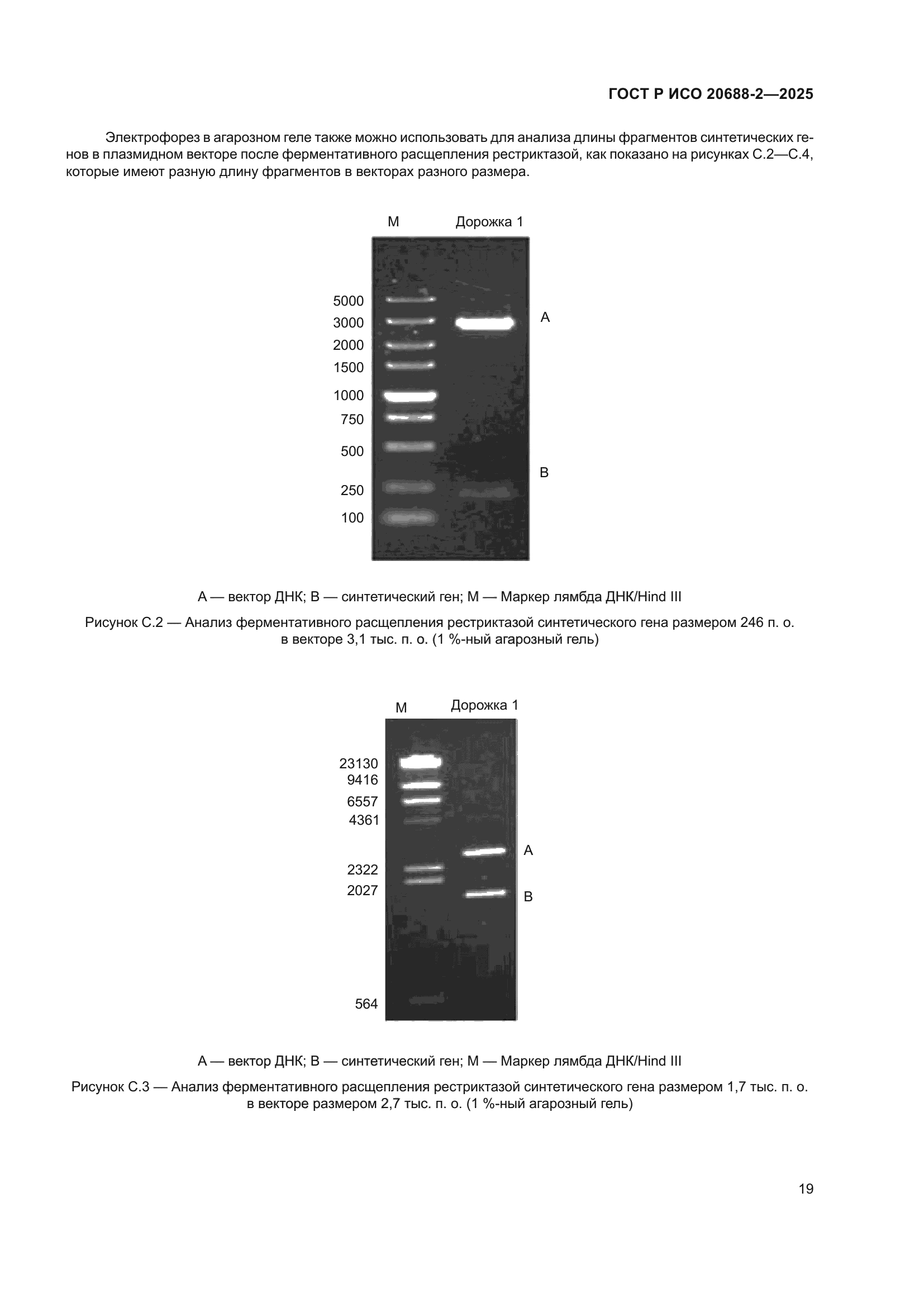 ГОСТ Р ИСО 20688-2-2025
