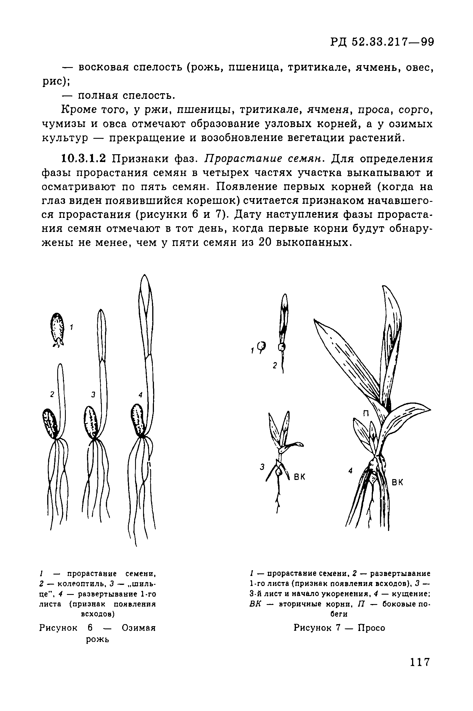 РД 52.33.217-99